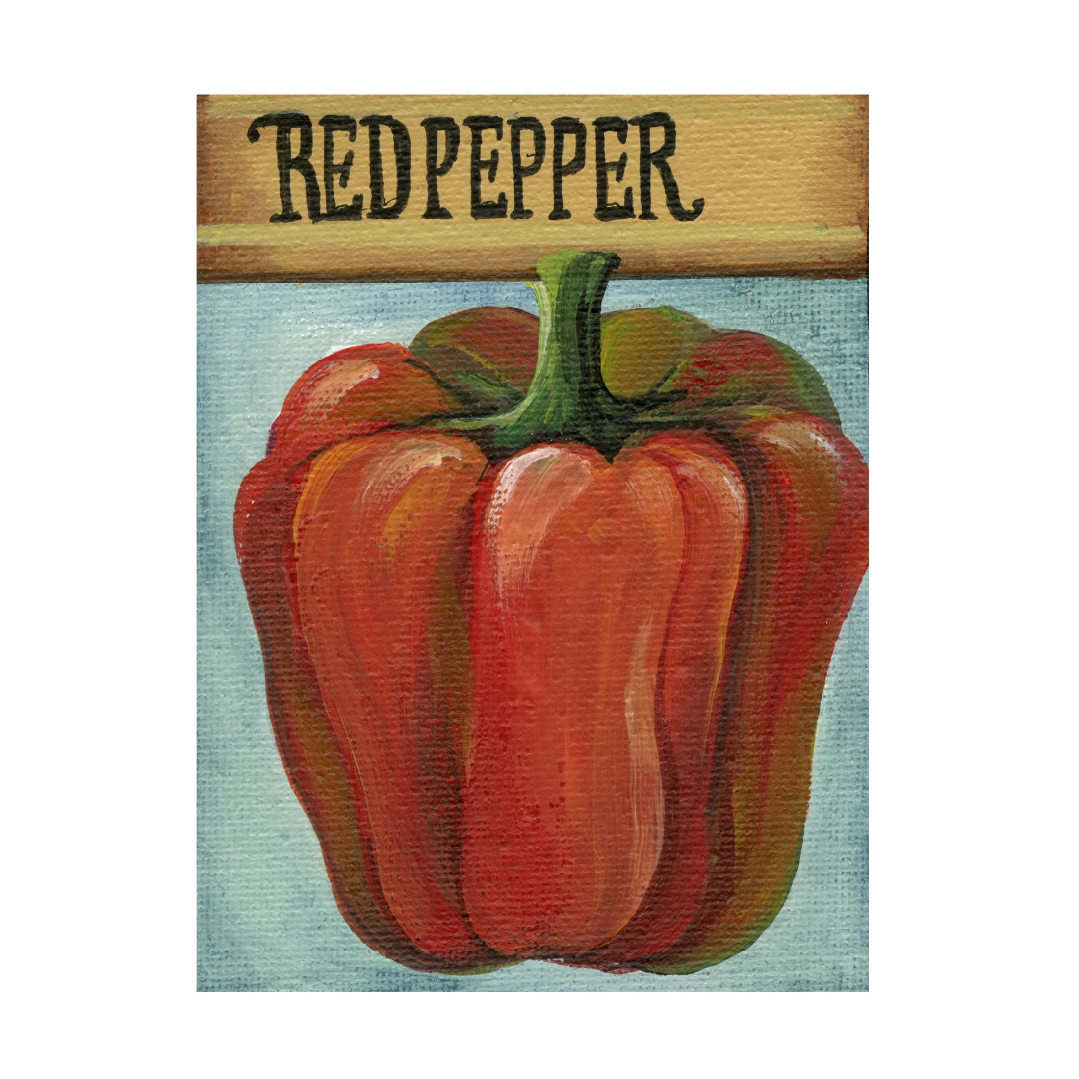 Canvas Wall Art - Debbi Wetzel 'Seed Packets 16 - Red Pepper' Wall Art for Living Room, Bedroom, or Office Décor by Trademark Fine Art - 24 x 32 Inches