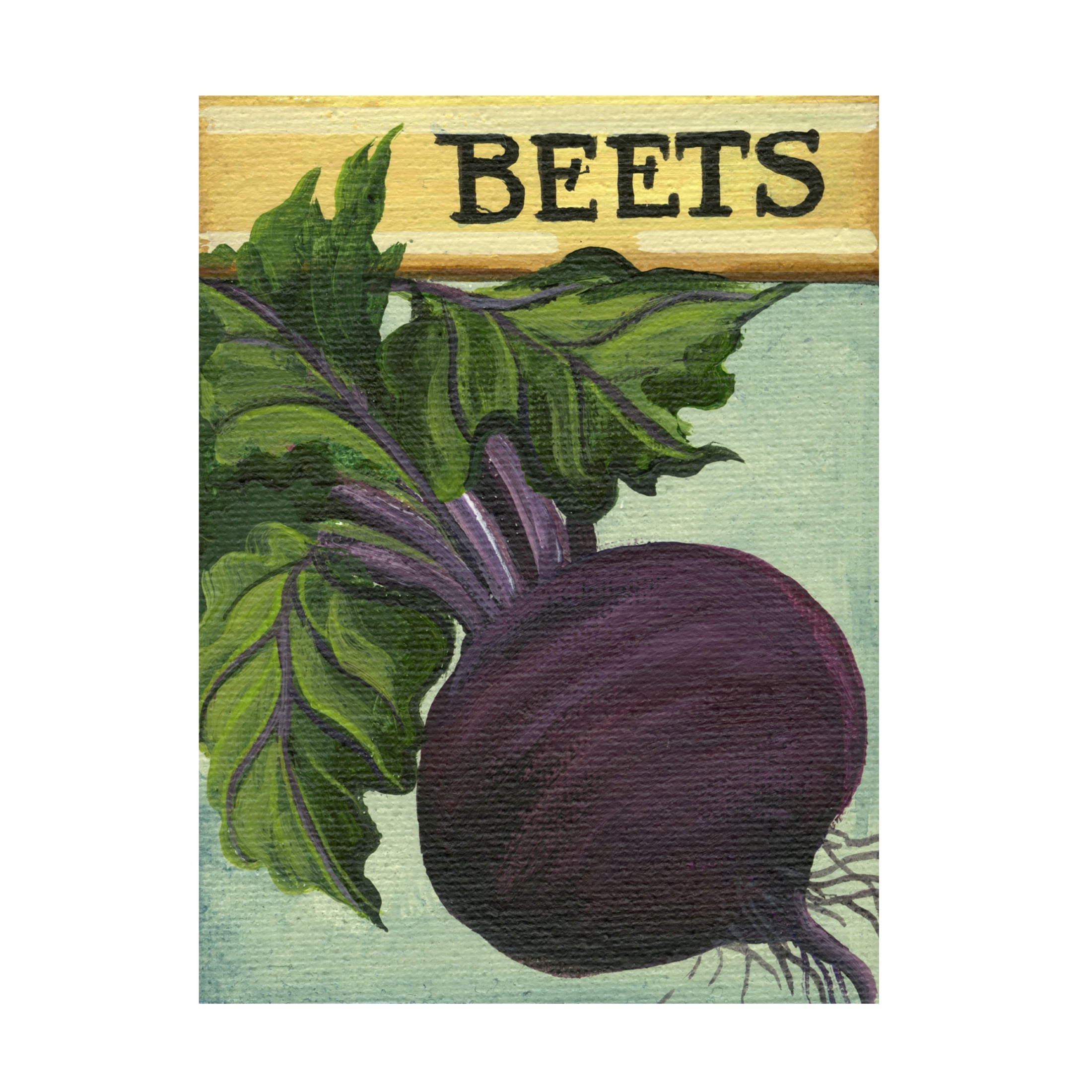 Canvas Wall Art - Debbi Wetzel 'Seed Packets 18 - Beets' Wall Art for Living Room, Bedroom, or Office Décor by Trademark Fine Art - 24 x 32 Inches