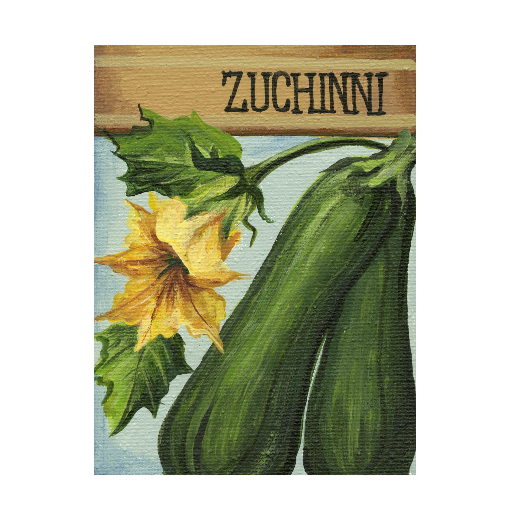 Canvas Wall Art - Debbi Wetzel 'Seed Packets 19 - Zuchinni' Wall Art for Living Room, Bedroom, or Office Décor by Trademark Fine Art - 24 x 32 Inches