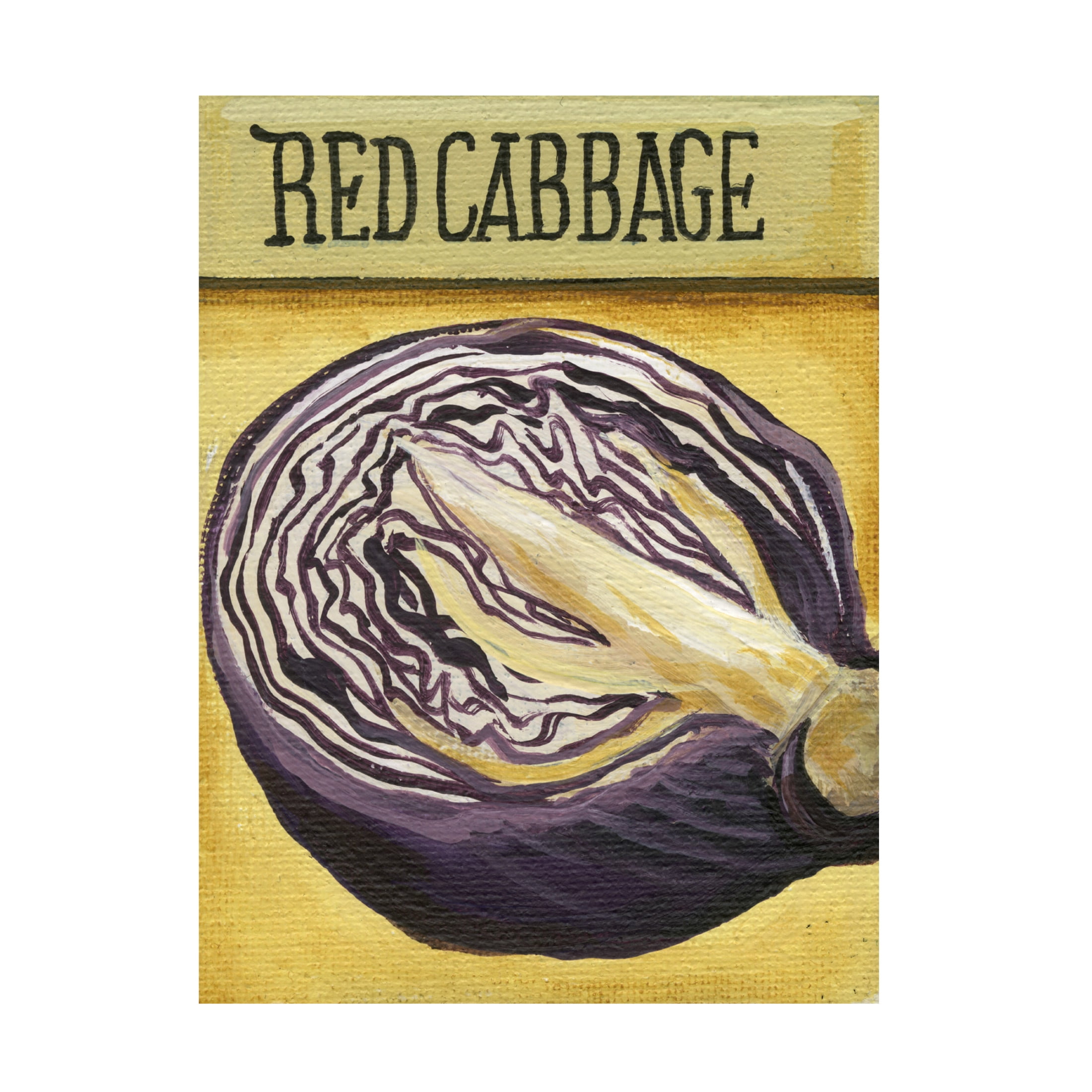 Canvas Wall Art - Debbi Wetzel 'Seed Packets 21 - Red Cabbage' Wall Art for Living Room, Bedroom, or Office Décor by Trademark Fine Art - 35 x 47 Inches