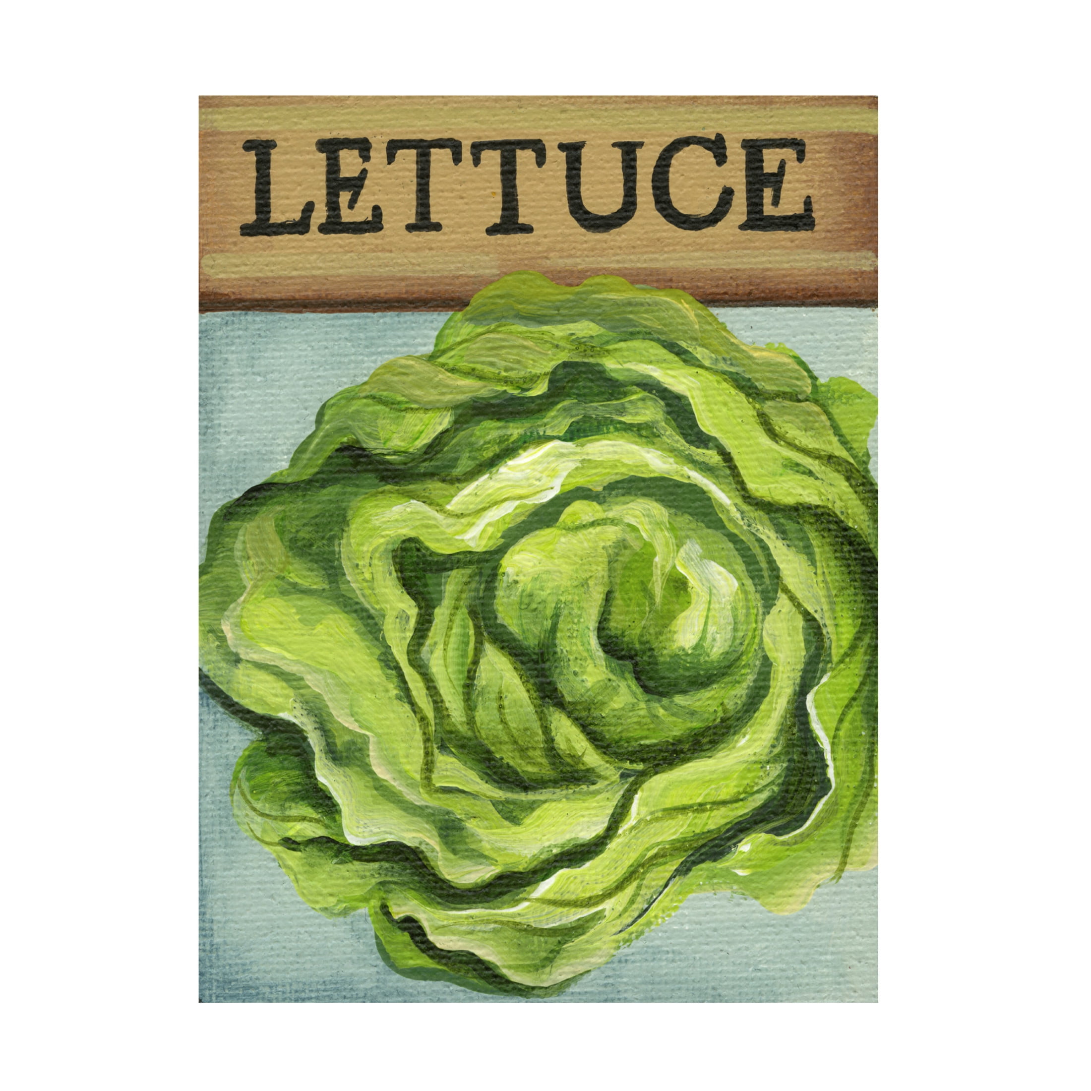 Canvas Wall Art - Debbi Wetzel 'Seed Packets 22 - Lettuce' Wall Art for Living Room, Bedroom, or Office Décor by Trademark Fine Art - 24 x 32 Inches