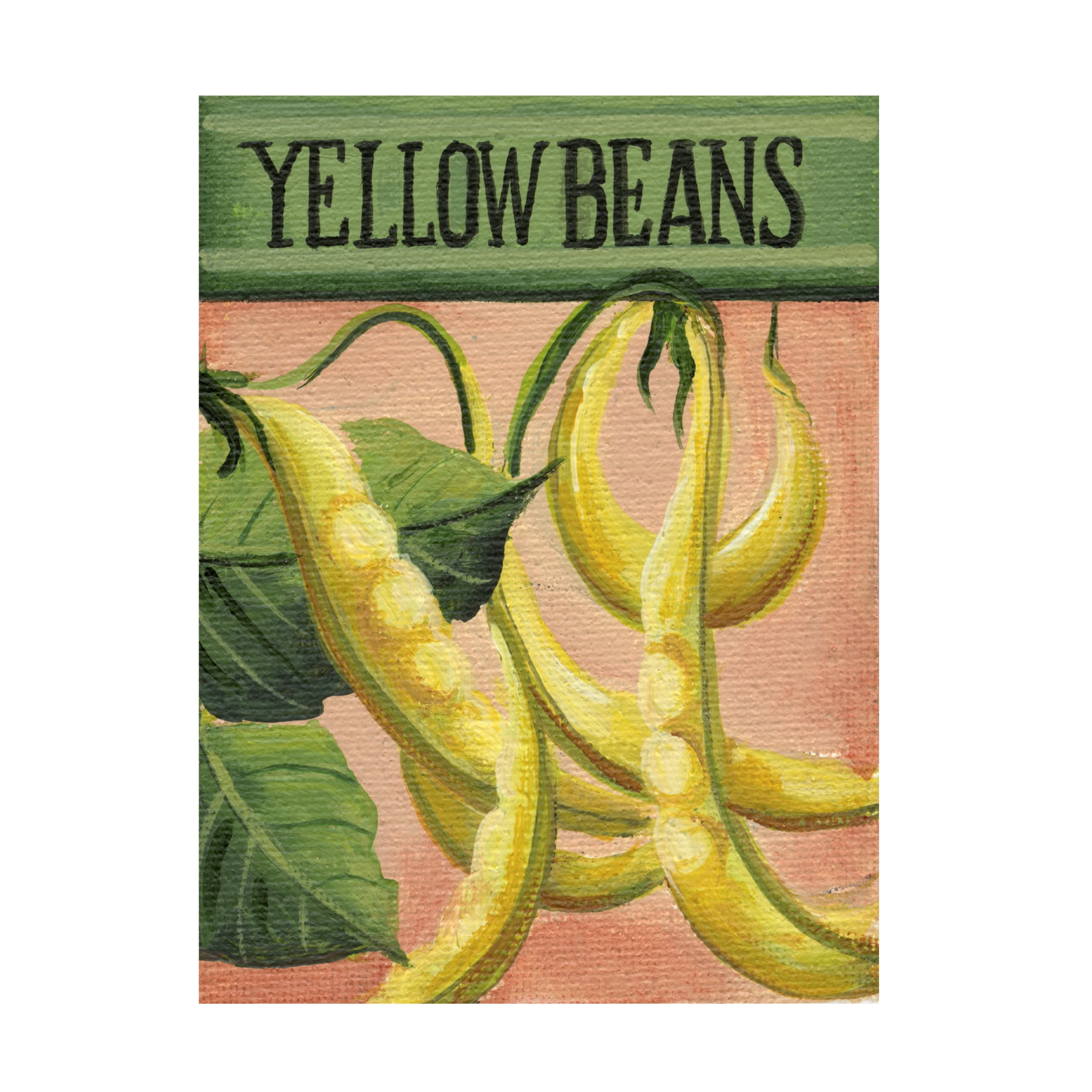 Canvas Wall Art - Debbi Wetzel 'Seed Packets 23 - Yellow Beans' Wall Art for Living Room, Bedroom, or Office Décor by Trademark Fine Art - 18 x 24 Inches