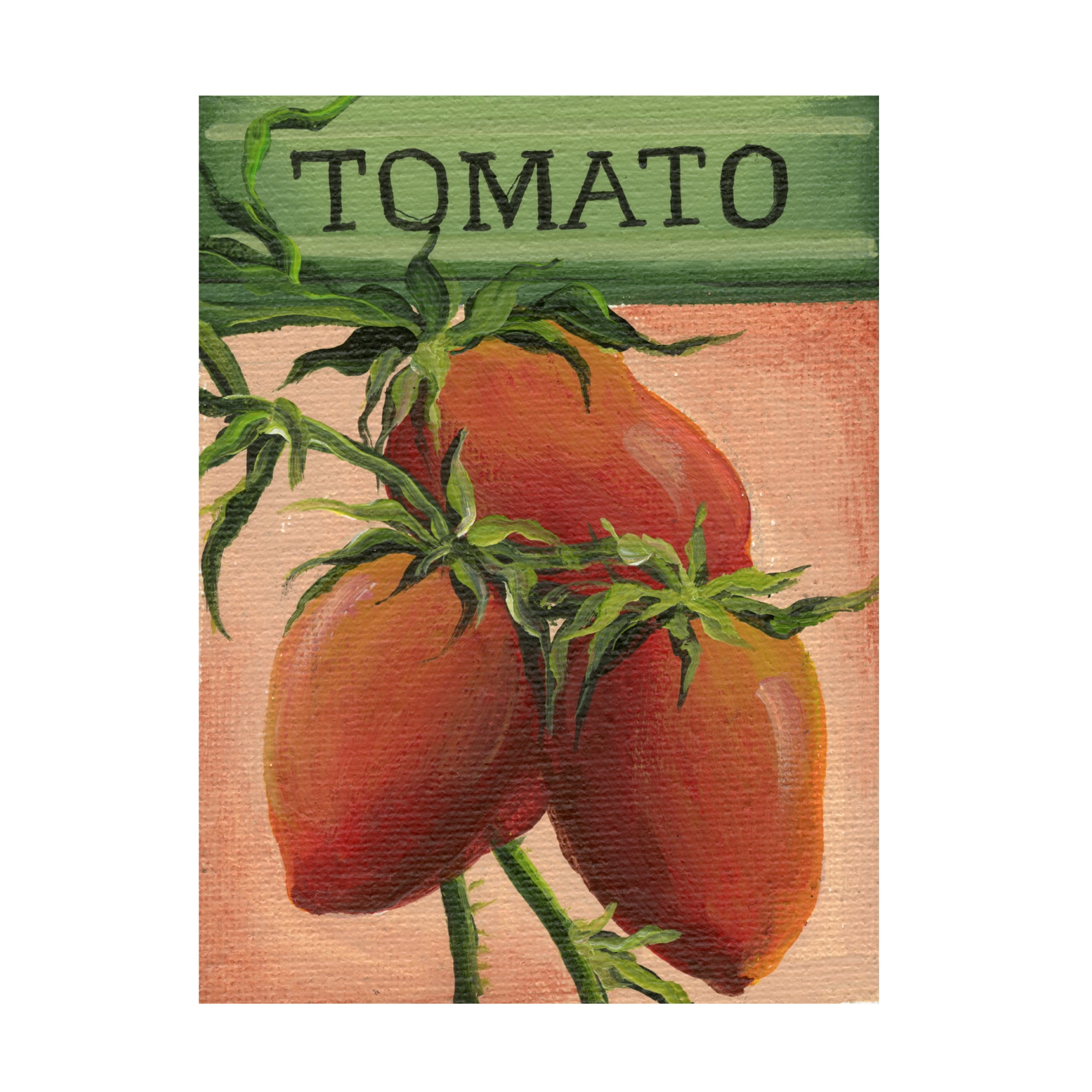 Canvas Wall Art - Debbi Wetzel 'Seed Packets 26 - Tomato' Wall Art for Living Room, Bedroom, or Office Décor by Trademark Fine Art - 18 x 24 Inches