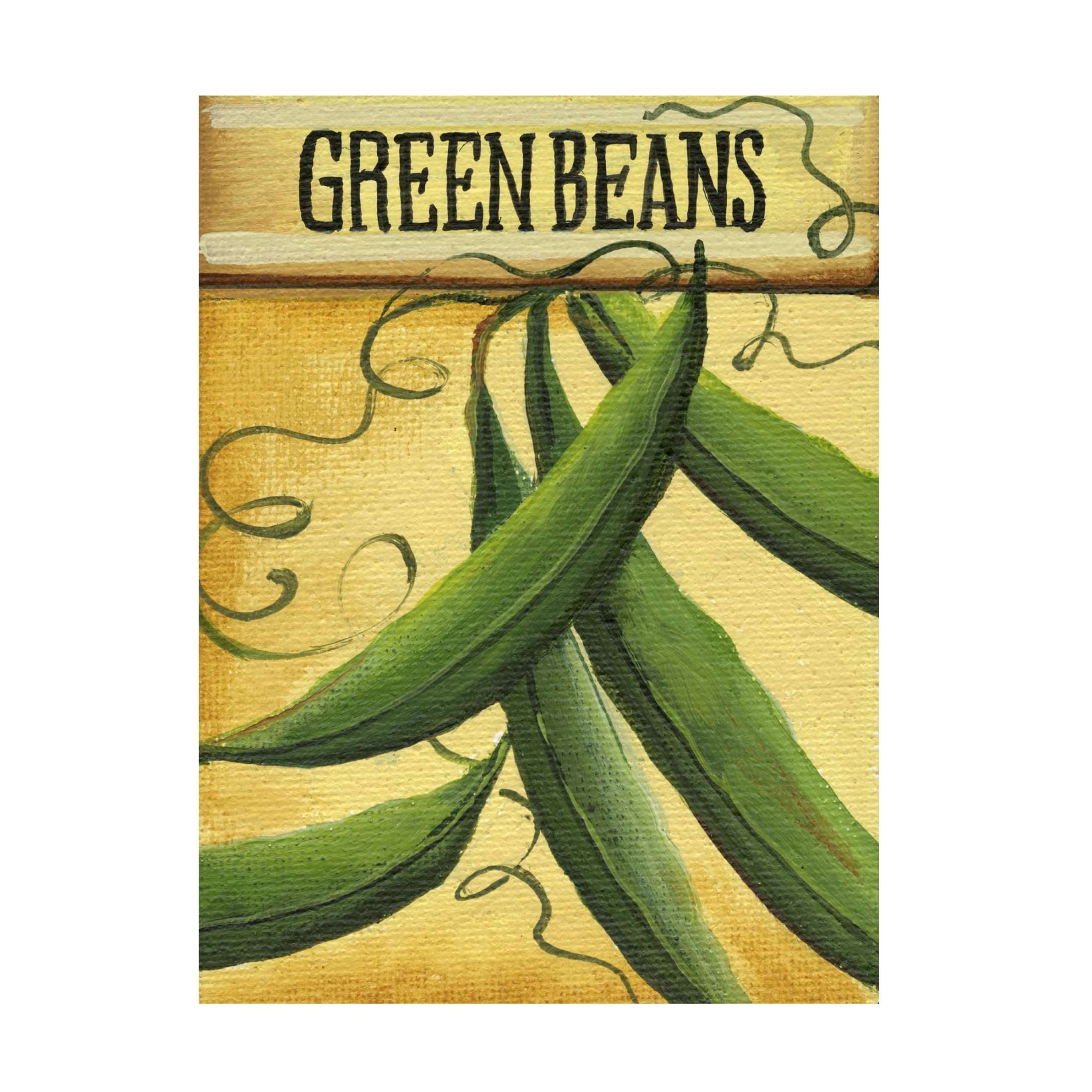 Canvas Wall Art - Debbi Wetzel 'Seed Packets 27 - Green Beans' Wall Art for Living Room, Bedroom, or Office Décor by Trademark Fine Art - 24 x 32 Inches