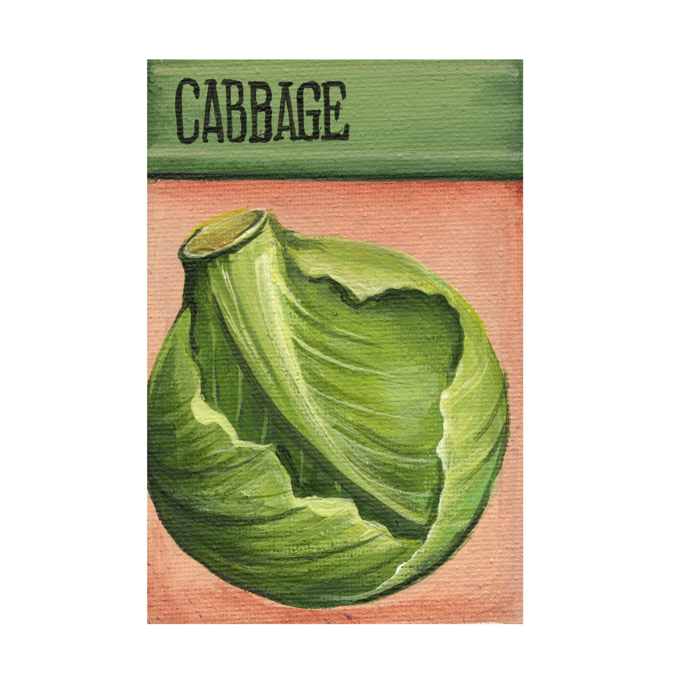 Canvas Wall Art - Debbi Wetzel 'Seed Packets 29 - Cabbage' Wall Art for Living Room, Bedroom, or Office Décor by Trademark Fine Art - 22 x 32 Inches