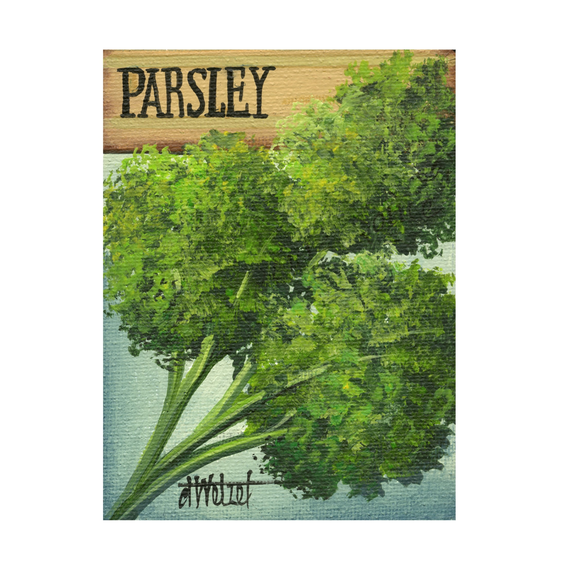 Canvas Wall Art - Debbi Wetzel 'Seed Packets 30 - Parsley' Wall Art for Living Room, Bedroom, or Office Décor by Trademark Fine Art - 14 x 19 Inches