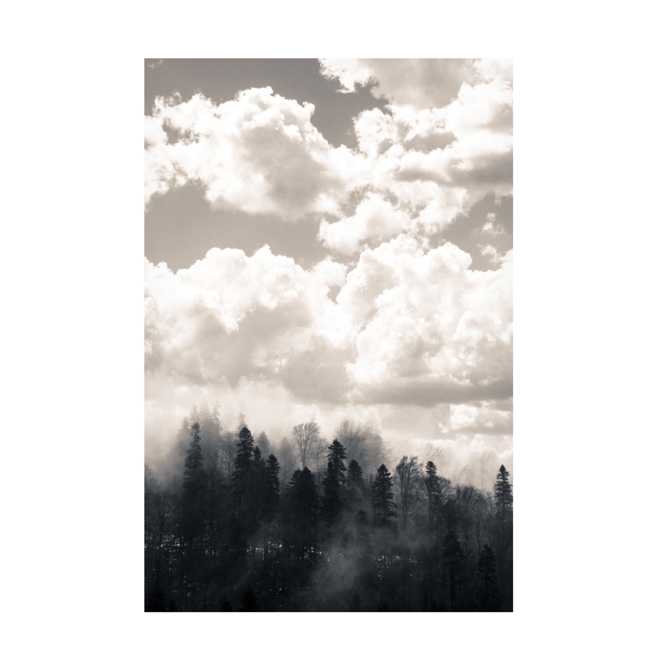 Canvas Wall Art - Decent Exposures 'Fog 1' Wall Art for Living Room, Bedroom, or Office Décor by Trademark Fine Art - 16 x 24 Inches