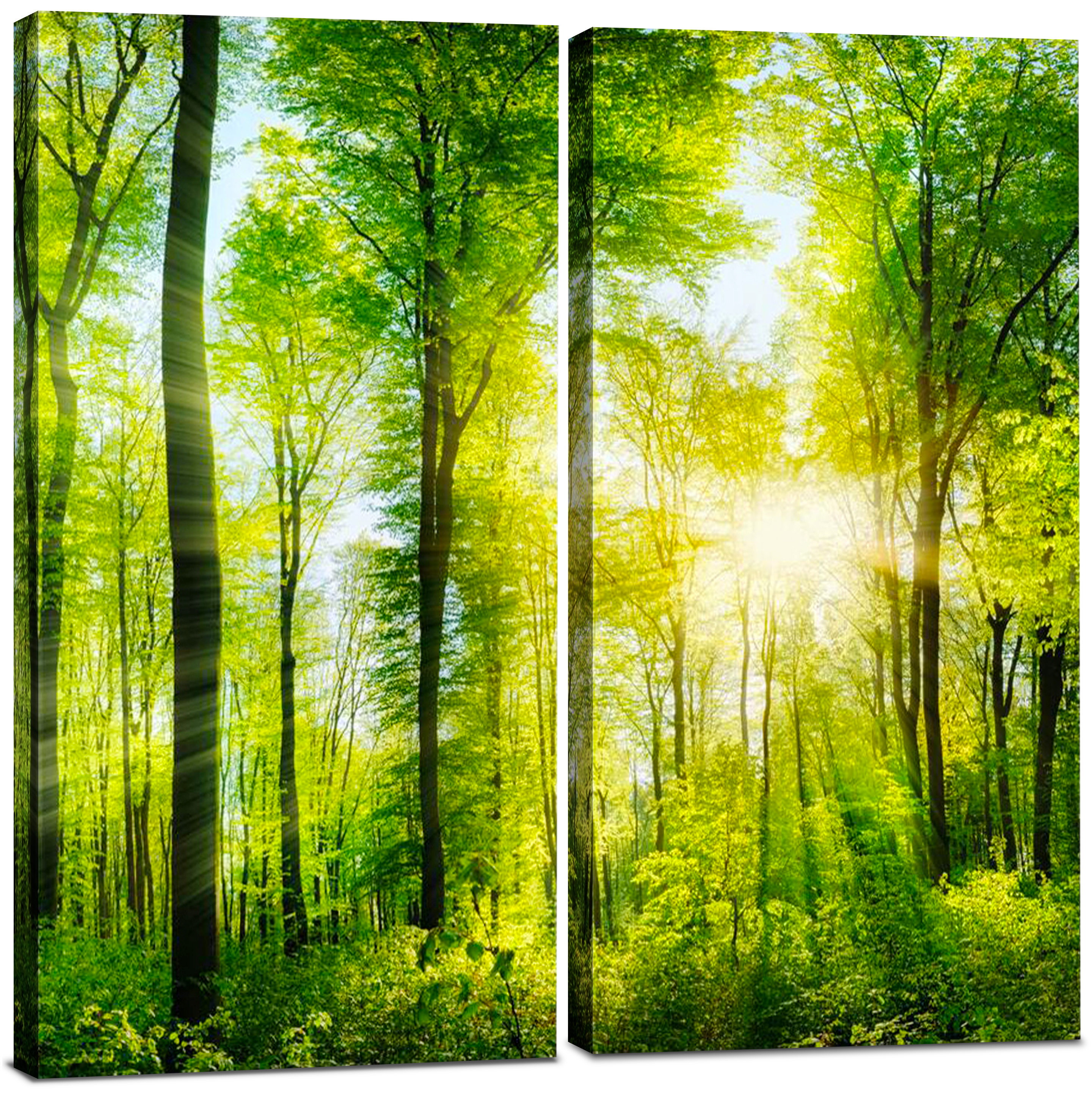 24x24 Green Forest Landscape Framed Canvas Print Set