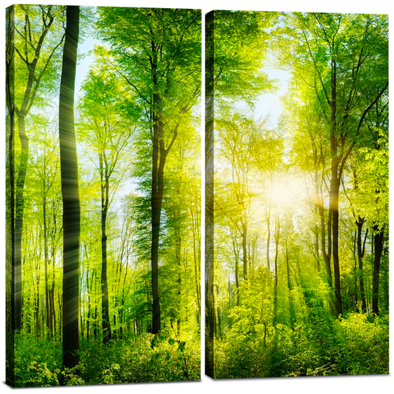 Canvas Wall Art Decor - 12x24 2 Piece Set (Total 24x24 inch) - Forest Tree Landscape - Decorative & Modern Multi Panel Split Canvas Prints for Dining & Living Room, Kitchen, Bathroom, Bedroom & Office