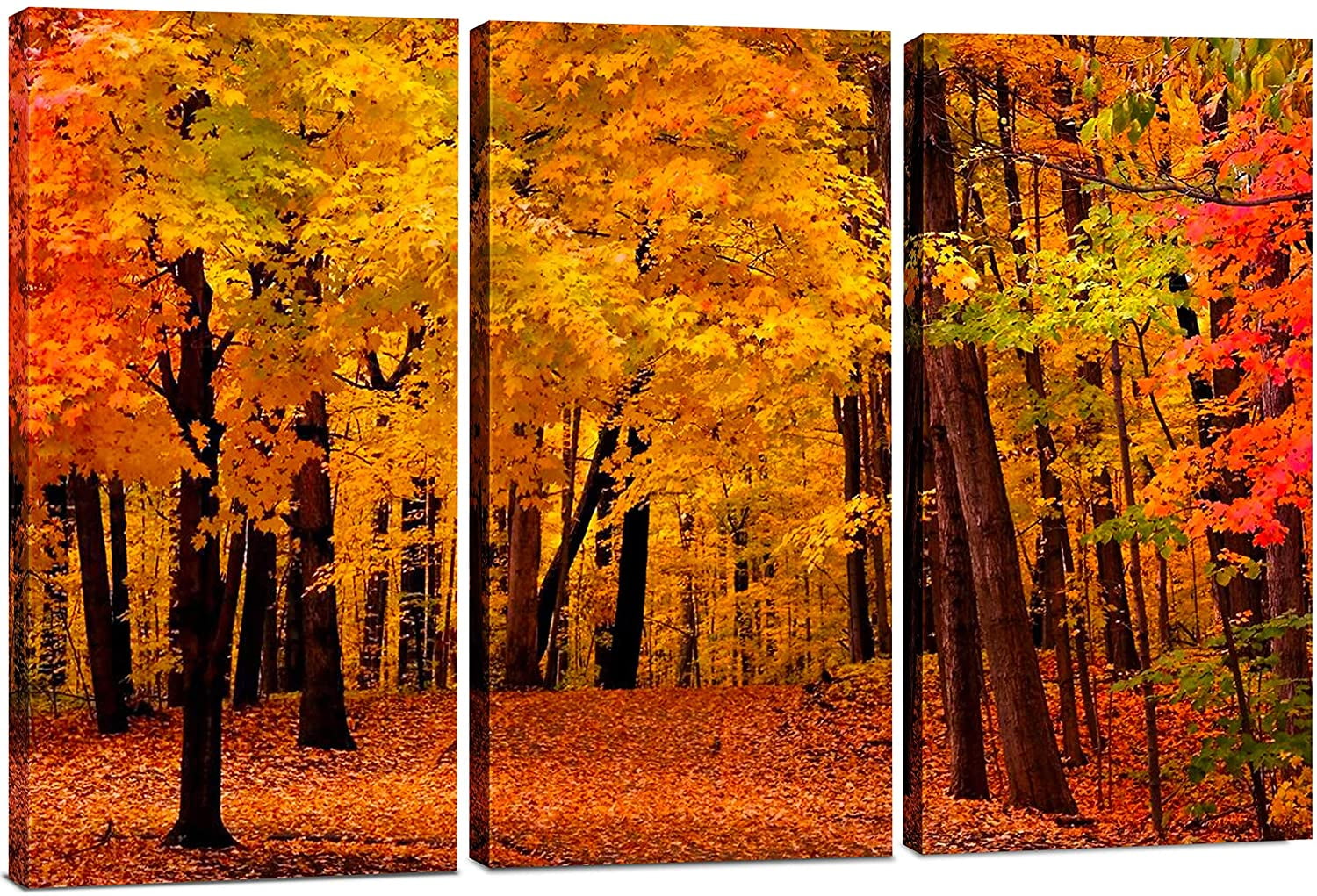 Autumn Forest Tree 3-Piece Framed Canvas Wall Art Set