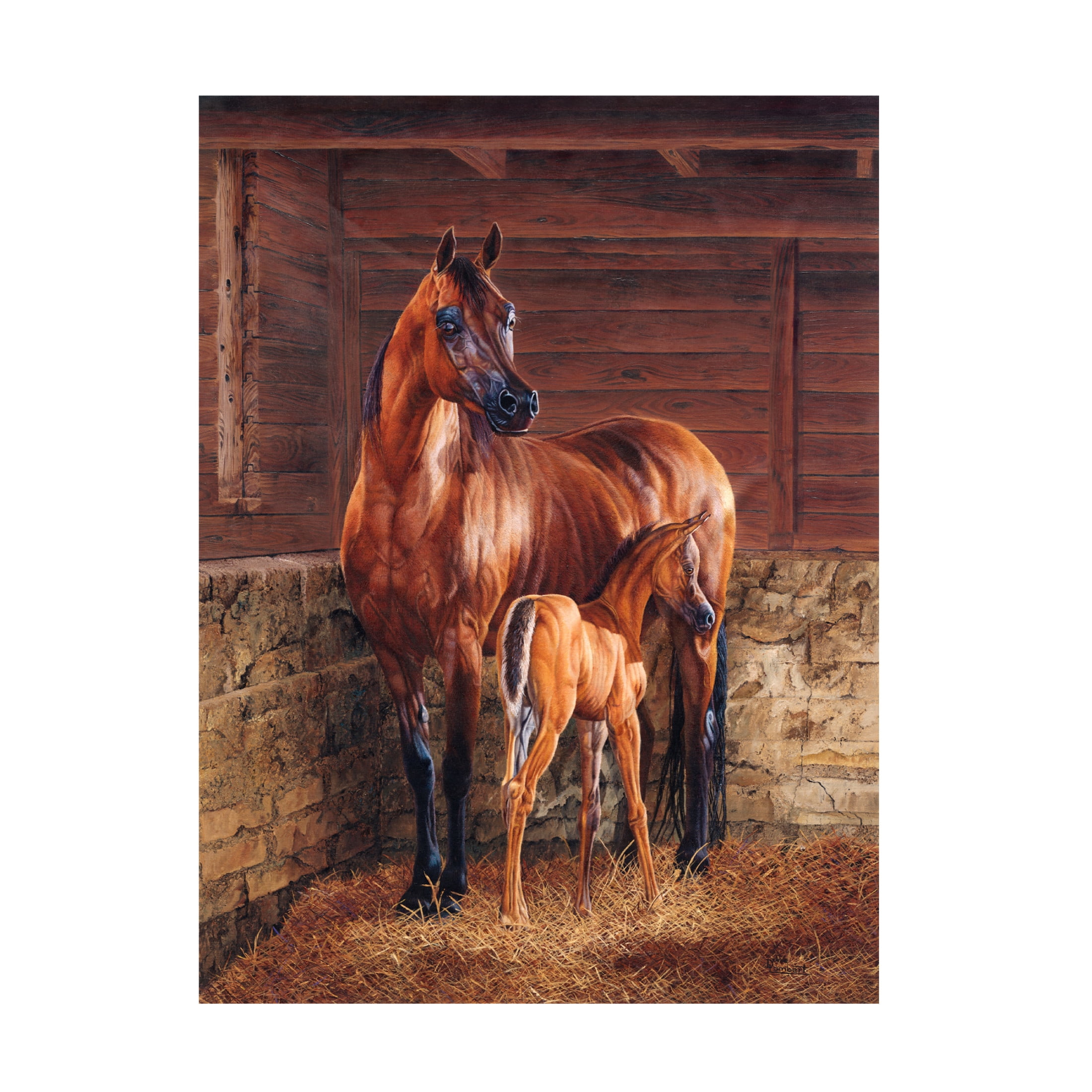 Canvas Wall Art - Delene Lambert 'And God Created the Horse' Wall Art for Living Room, Bedroom, or Office Décor by Trademark Fine Art - 35 x 47 Inches