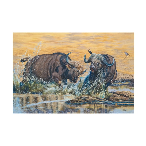 Canvas Wall Art - Delene Lambert 'Buffelsfontein' Wall Art for Living Room, Bedroom, or Office Décor by Trademark Fine Art - 19 x 12 Inches