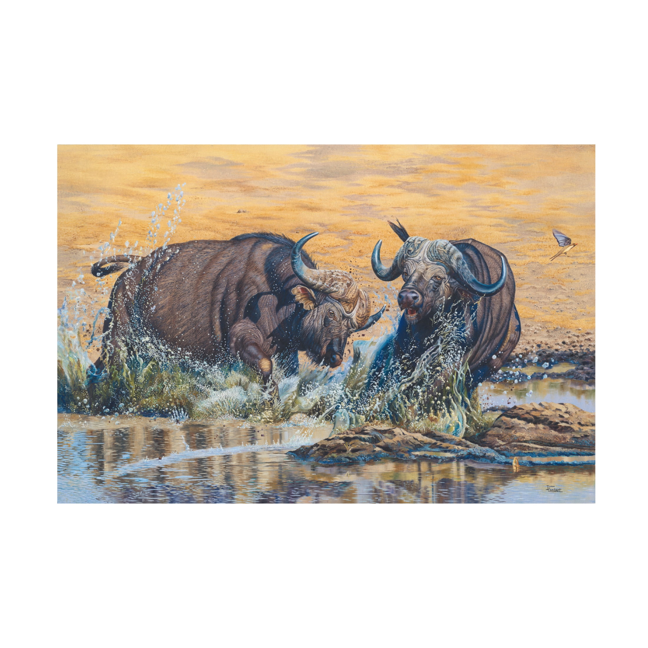 Canvas Wall Art - Delene Lambert 'Buffelsfontein' Wall Art for Living Room, Bedroom, or Office Décor by Trademark Fine Art - 32 x 22 Inches