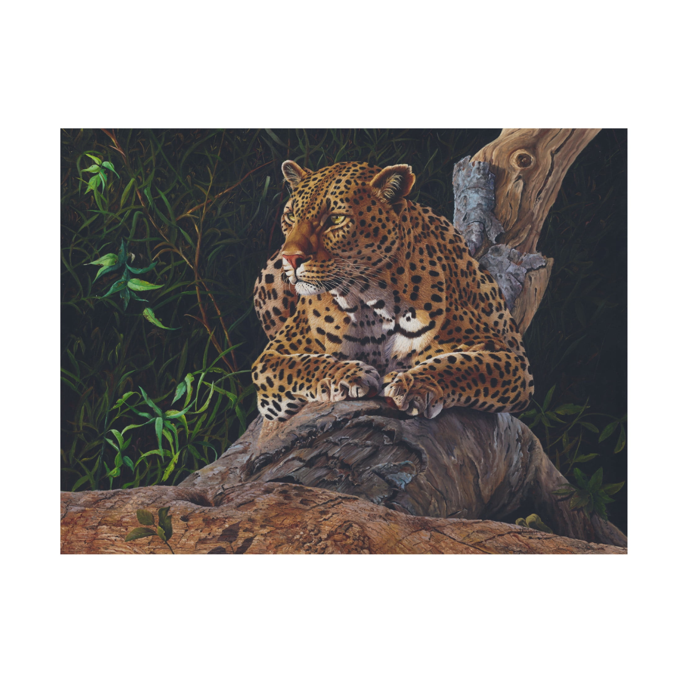 Canvas Wall Art - Delene Lambert 'Daydreaming' Wall Art for Living Room, Bedroom, or Office Décor by Trademark Fine Art - 32 x 24 Inches