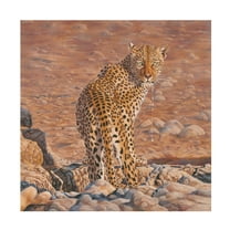 Canvas Wall Art - Delene Lambert 'Disturbed' Wall Art for Living Room, Bedroom, or Office Décor by Trademark Fine Art - 14 x 14 Inches