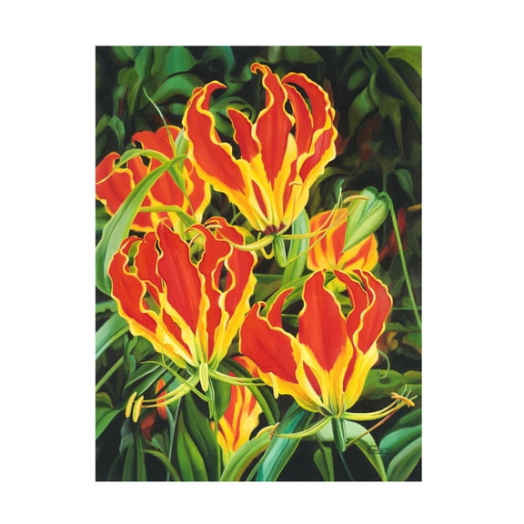 Canvas Wall Art - Delene Lambert 'Flame Lilies' Wall Art for Living Room, Bedroom, or Office Décor by Trademark Fine Art - 14 x 19 Inches