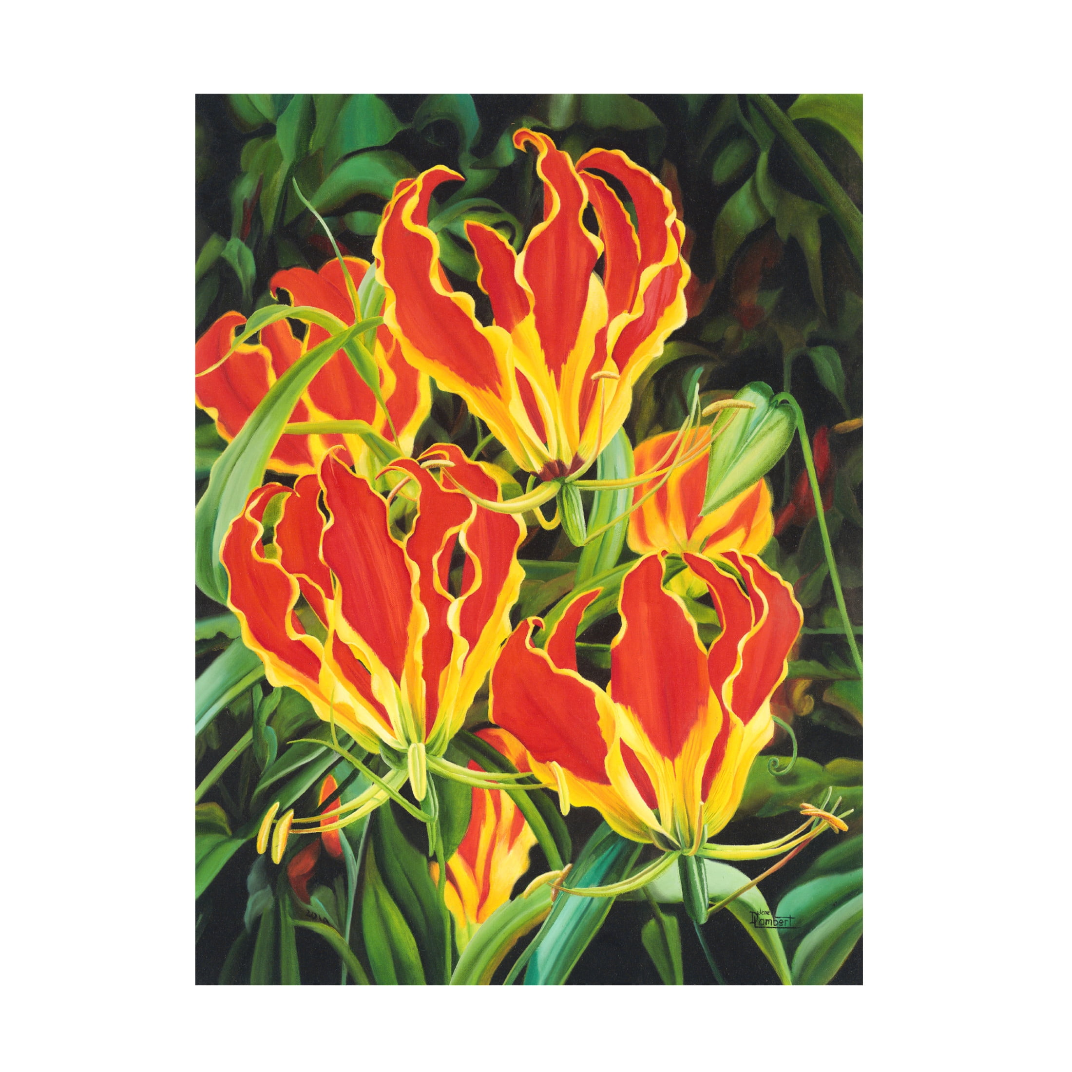 Canvas Wall Art - Delene Lambert 'Flame Lilies' Wall Art for Living Room, Bedroom, or Office Décor by Trademark Fine Art - 24 x 32 Inches