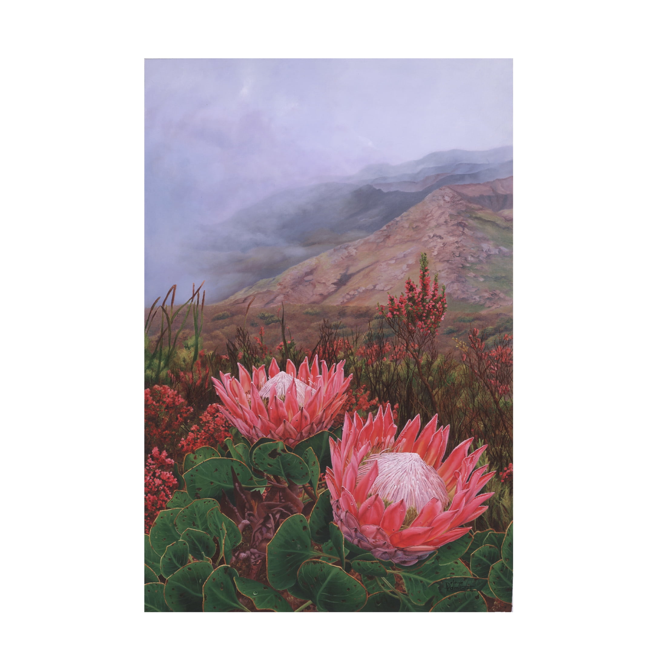 Canvas Wall Art - Delene Lambert 'In the Eye of the Beholder Proteas' Wall Art for Living Room, Bedroom, or Office Décor by Trademark Fine Art - 30 x 47 Inches