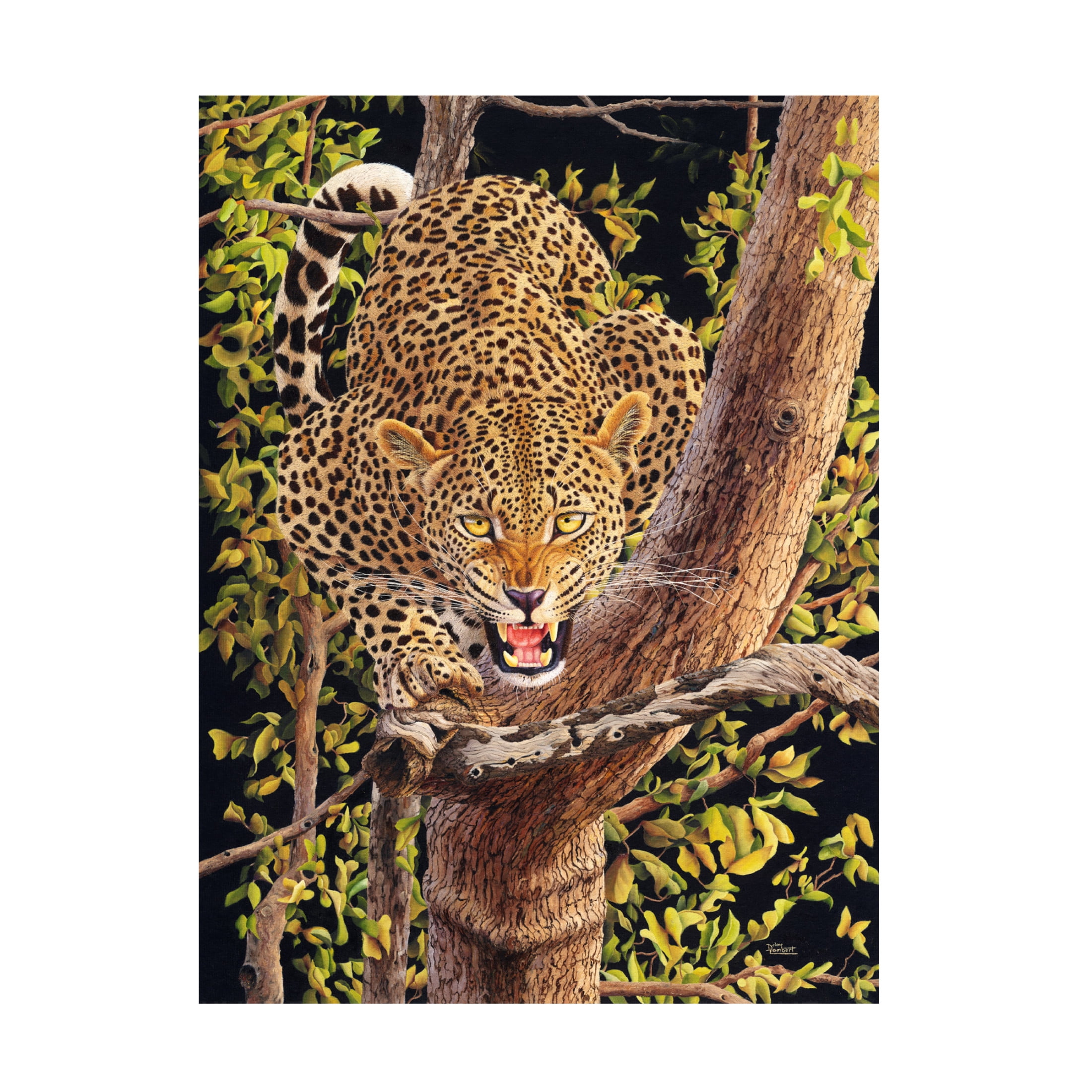 Canvas Wall Art - Delene Lambert 'Leopard in Tree' Wall Art for Living Room, Bedroom, or Office Décor by Trademark Fine Art - 24 x 32 Inches