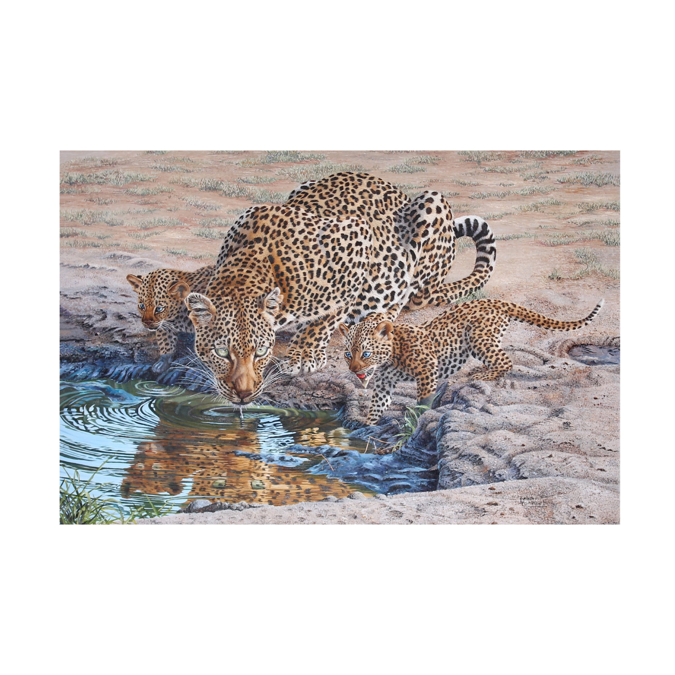 Canvas Wall Art - Delene Lambert 'Queen of Cubs' Wall Art for Living Room, Bedroom, or Office Décor by Trademark Fine Art - 32 x 22 Inches