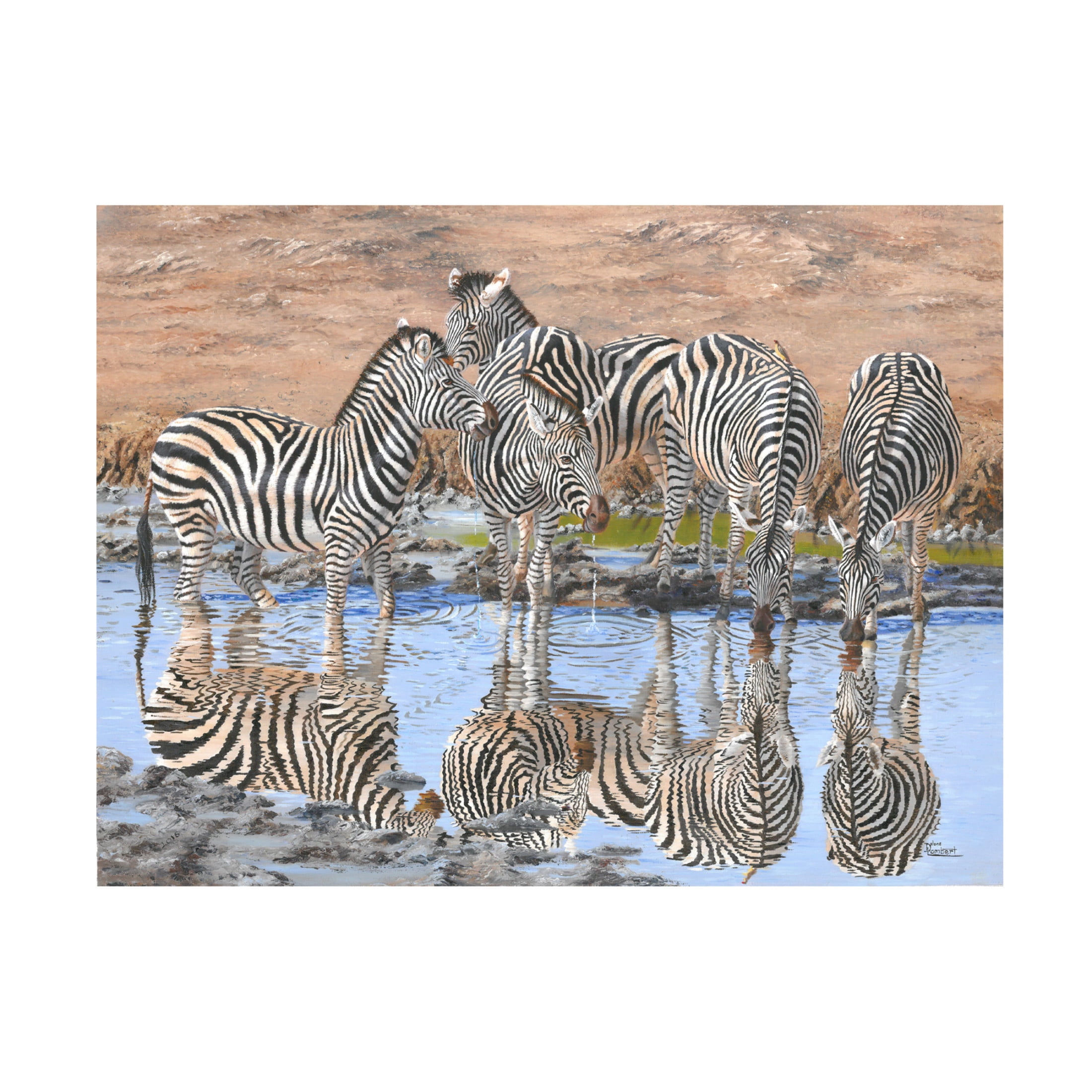Canvas Wall Art - Delene Lambert 'Zebra Reflections' Wall Art for Living Room, Bedroom, or Office Décor by Trademark Fine Art - 19 x 14 Inches