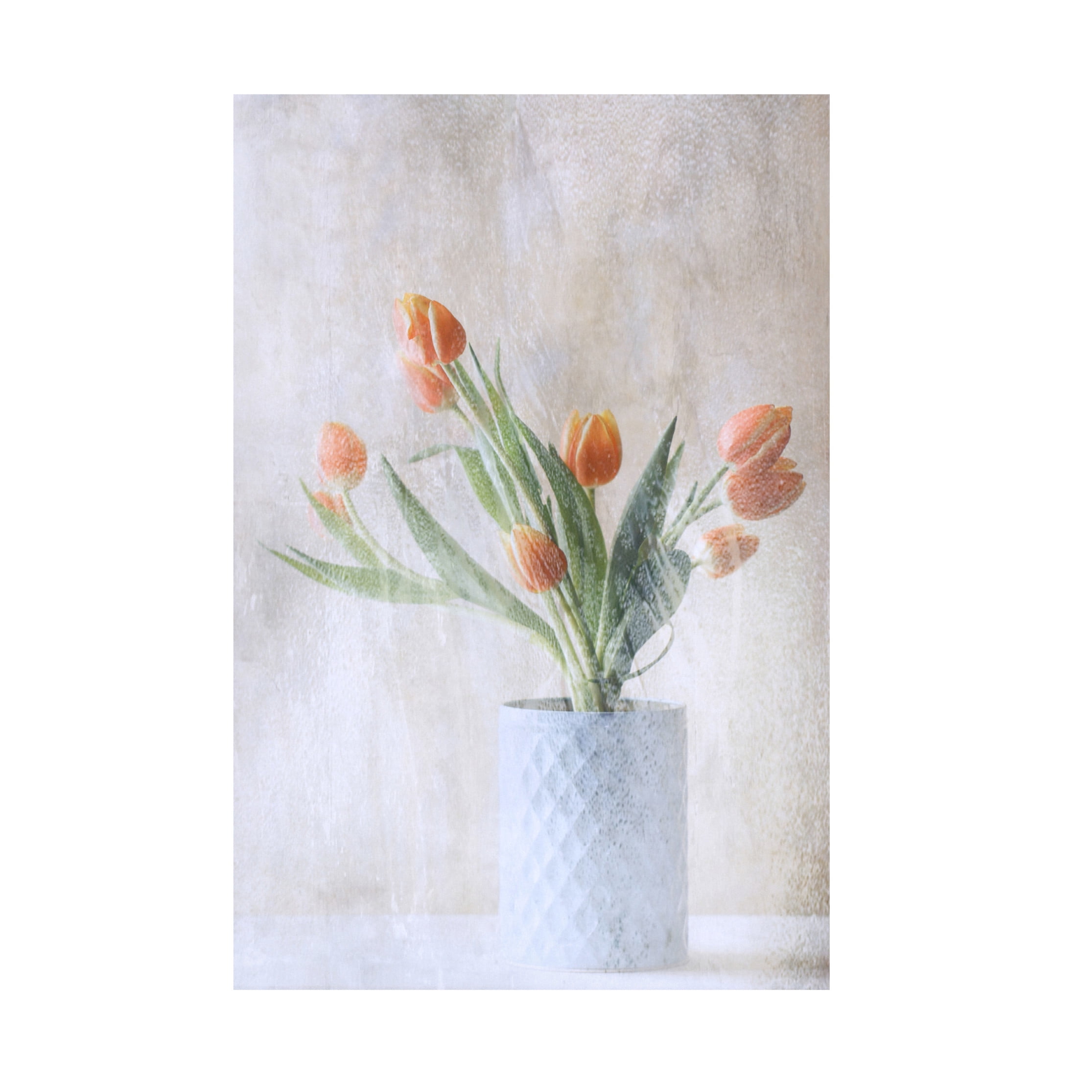 Canvas Wall Art - Delphine Devos 'A Bunch Of Tulips' Wall Art for Living Room, Bedroom, or Office D?cor by Trademark Fine Art - 22 x 32 Inches