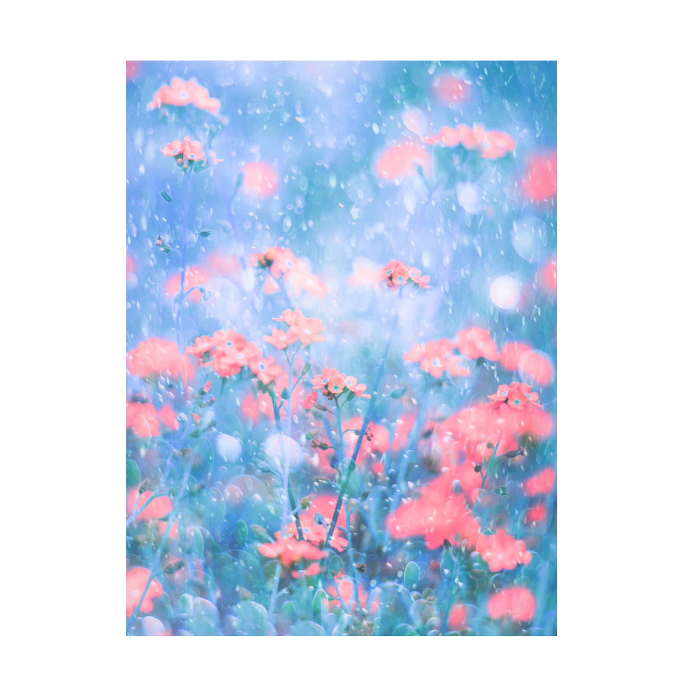 Canvas Wall Art - Delphine Devos 'A March Day' Wall Art for Living Room, Bedroom, or Office D?cor by Trademark Fine Art - 14 x 19 Inches