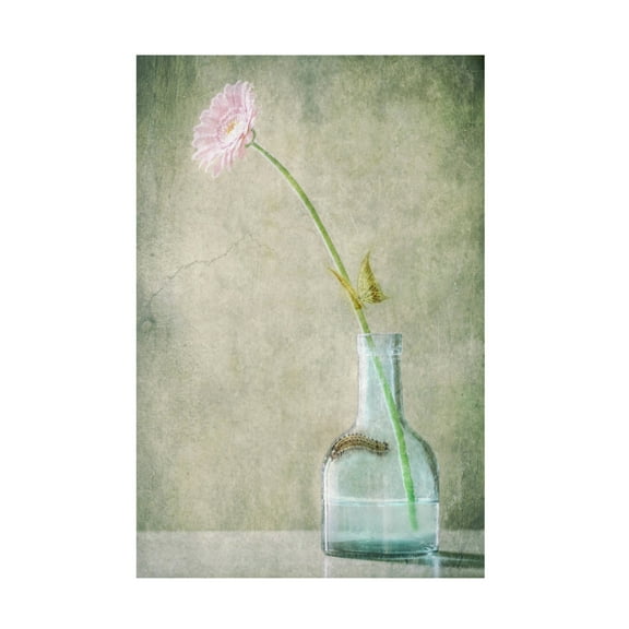 Canvas Wall Art - Delphine Devos 'A Quiet Summer Day' Wall Art for Living Room, Bedroom, or Office D?cor by Trademark Fine Art - 12 x 19 Inches