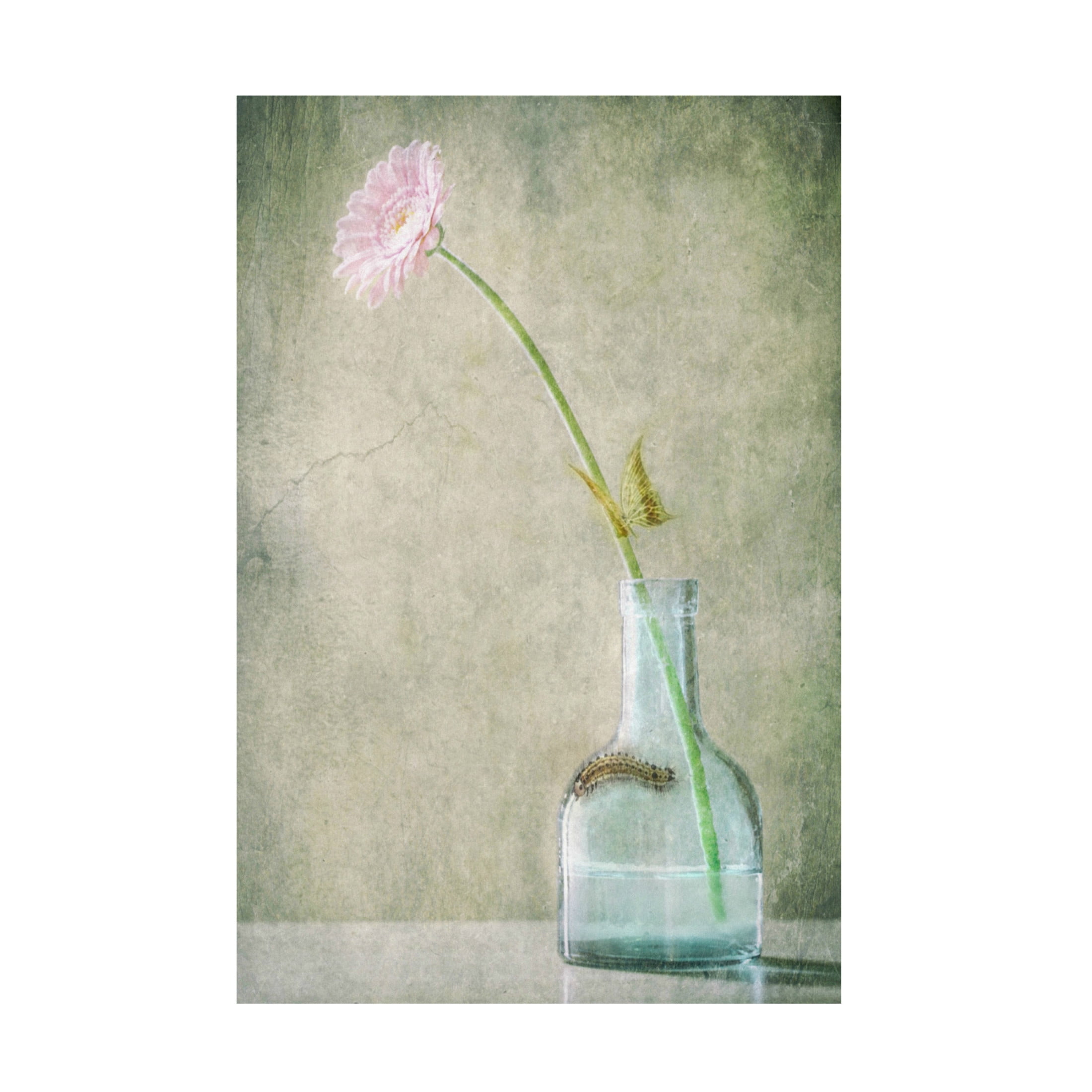 Canvas Wall Art - Delphine Devos 'A Quiet Summer Day' Wall Art for Living Room, Bedroom, or Office D?cor by Trademark Fine Art - 30 x 47 Inches