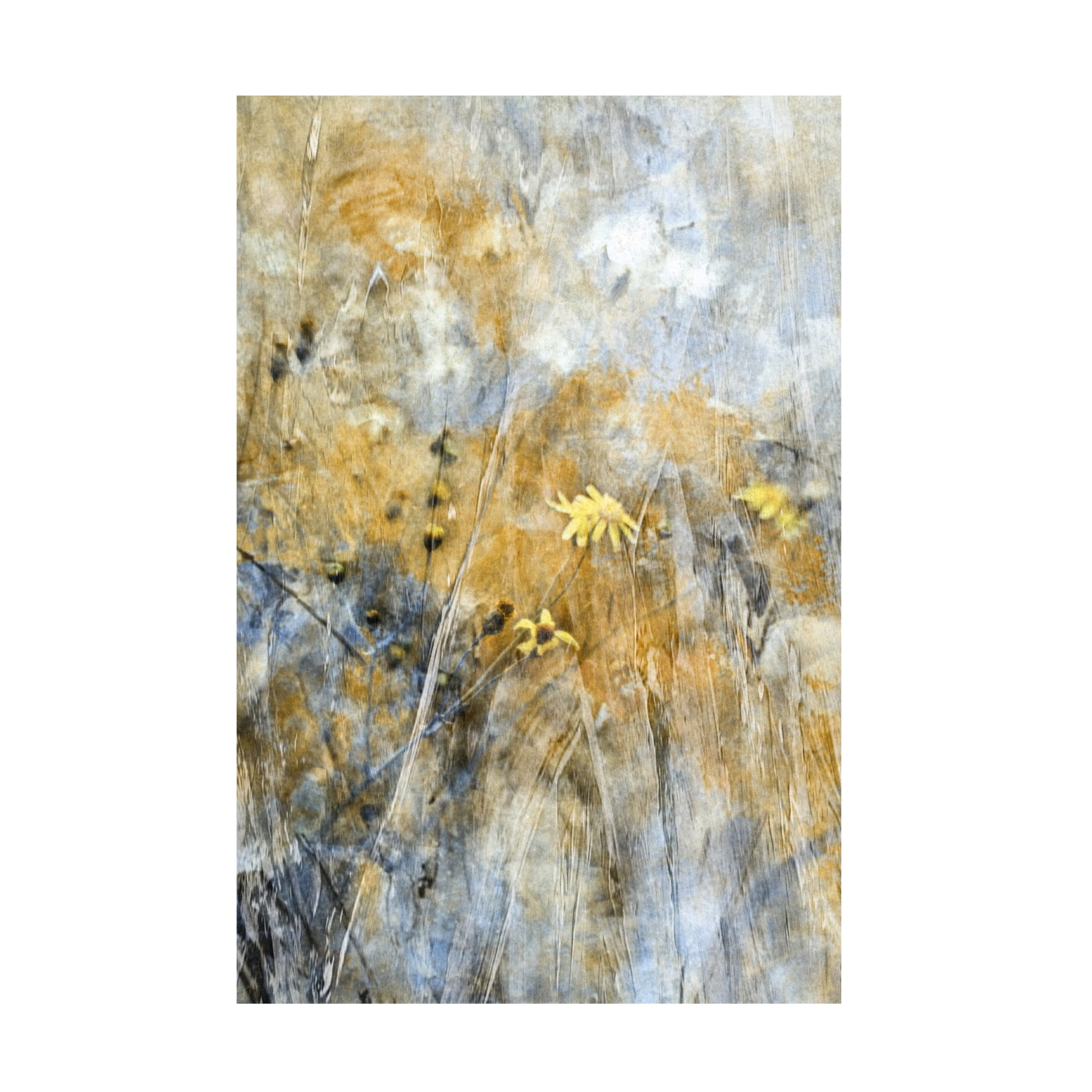 Canvas Wall Art - Delphine Devos 'A Time Of Freedom' Wall Art for Living Room, Bedroom, or Office D?cor by Trademark Fine Art - 30 x 47 Inches
