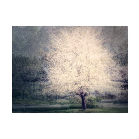 Canvas Wall Art - Delphine Devos 'Apple Tree In Bloom' Wall Art for Living Room, Bedroom, or Office Décor by Trademark Fine Art - 32 x 24 Inches