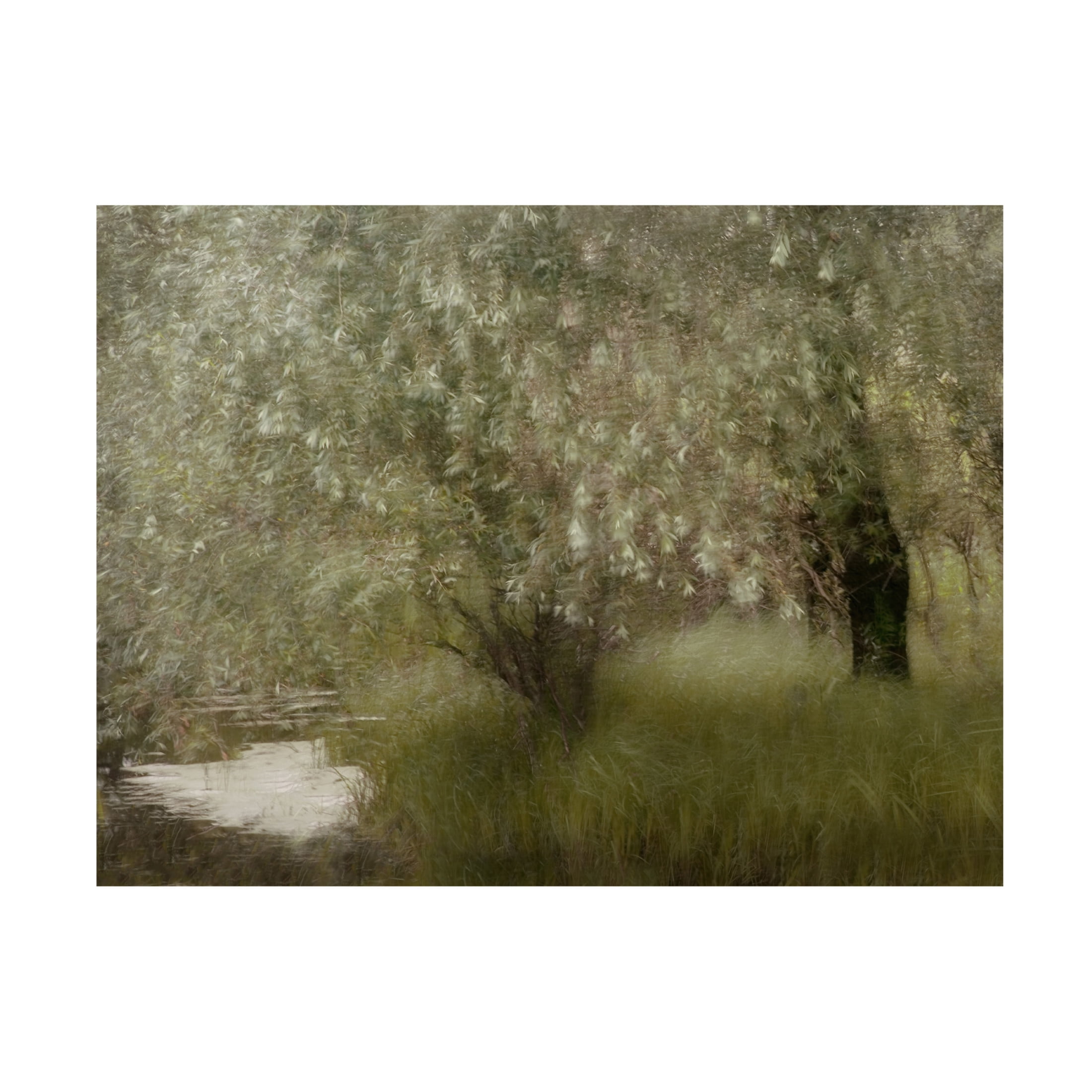 Canvas Wall Art - Delphine Devos 'At The Riverbank' Wall Art for Living Room, Bedroom, or Office Décor by Trademark Fine Art - 47 x 35 Inches