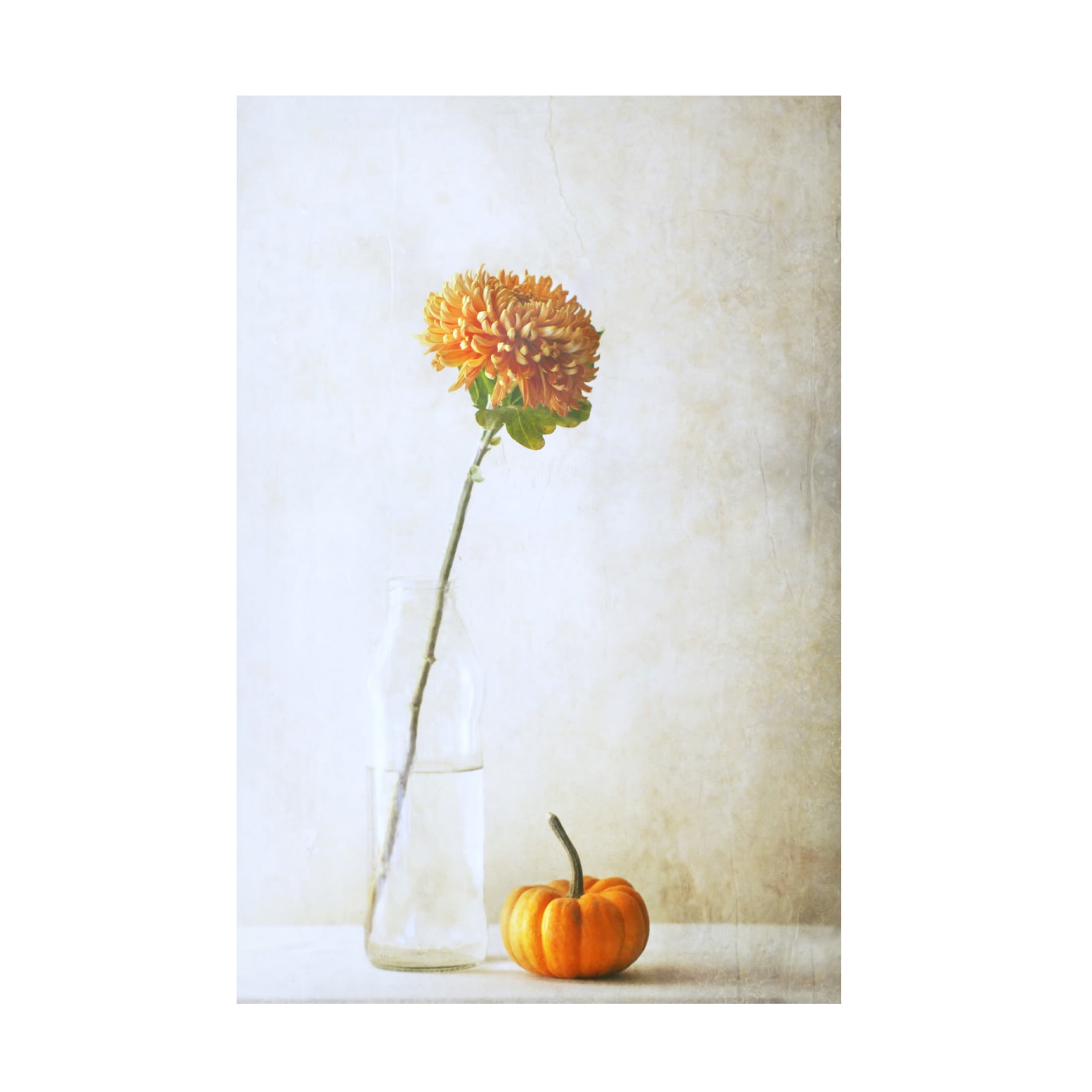 Canvas Wall Art - Delphine Devos 'Autumn Flower' Wall Art for Living Room, Bedroom, or Office Décor by Trademark Fine Art - 30 x 47 Inches