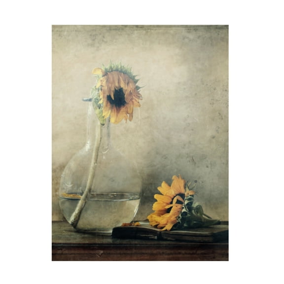 Canvas Wall Art - Delphine Devos 'Before I Wilt ' Wall Art for Living Room, Bedroom, or Office Décor by Trademark Fine Art - 18 x 24 Inches