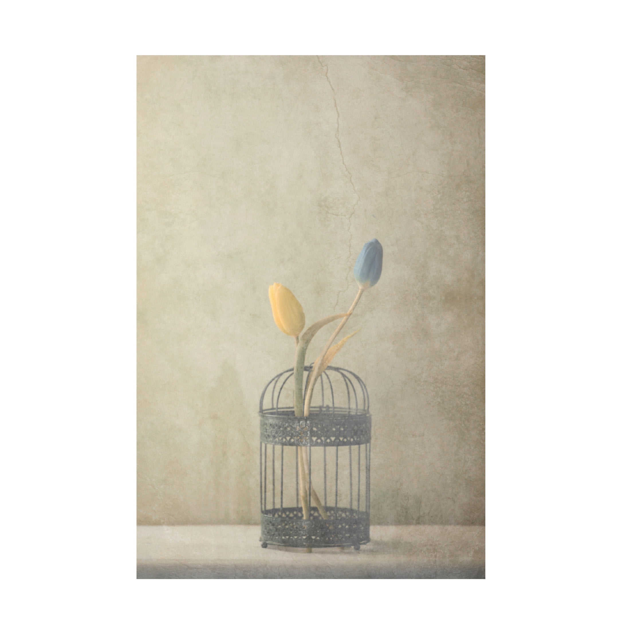 Canvas Wall Art - Delphine Devos 'But Together' Wall Art for Living Room, Bedroom, or Office D?cor by Trademark Fine Art - 12 x 19 Inches