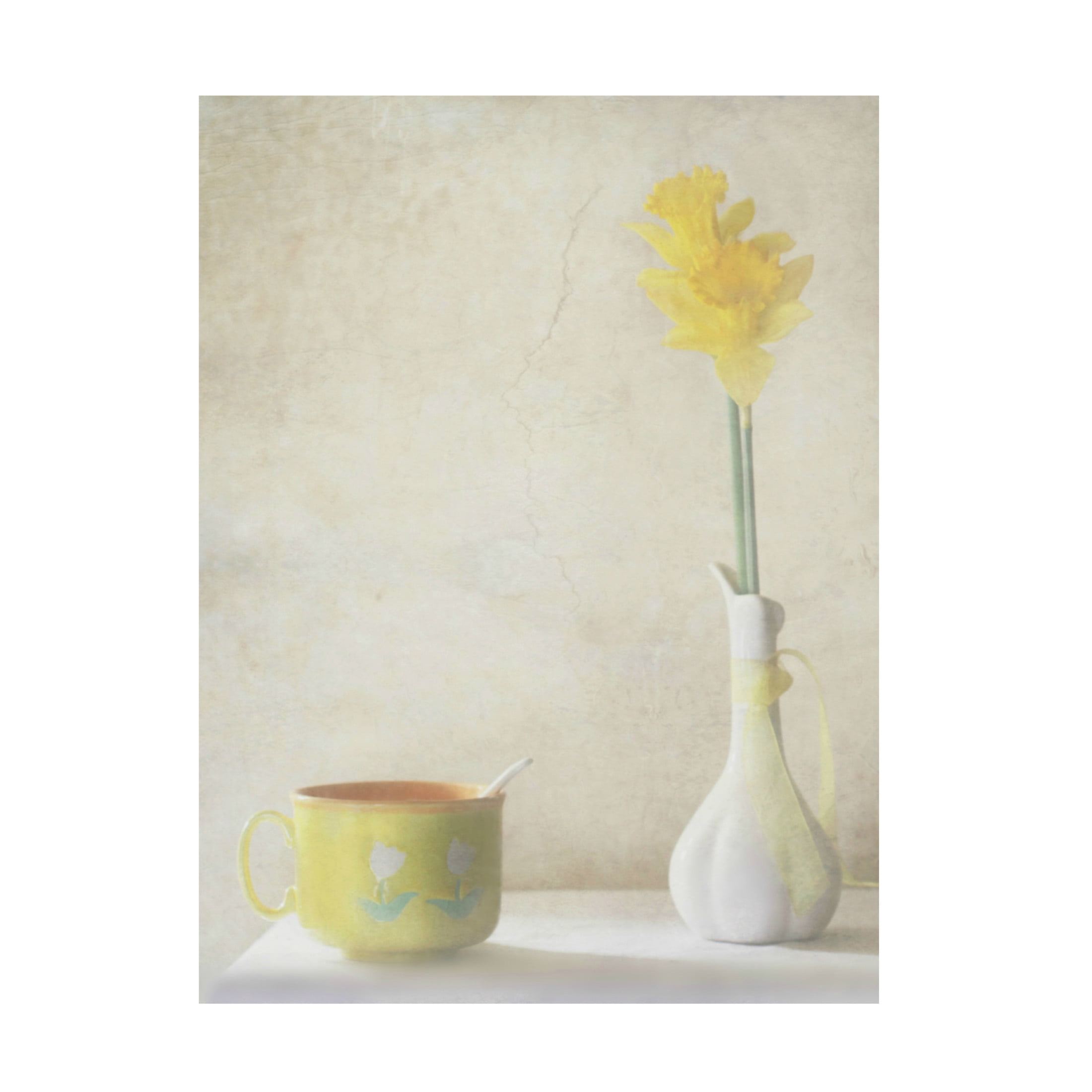 Canvas Wall Art - Delphine Devos 'Daffodils' Wall Art for Living Room, Bedroom, or Office Décor by Trademark Fine Art - 14 x 19 Inches