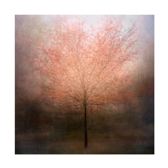 Canvas Wall Art - Delphine Devos 'Dream Come True' Wall Art for Living Room, Bedroom, or Office Décor by Trademark Fine Art - 14 x 14 Inches