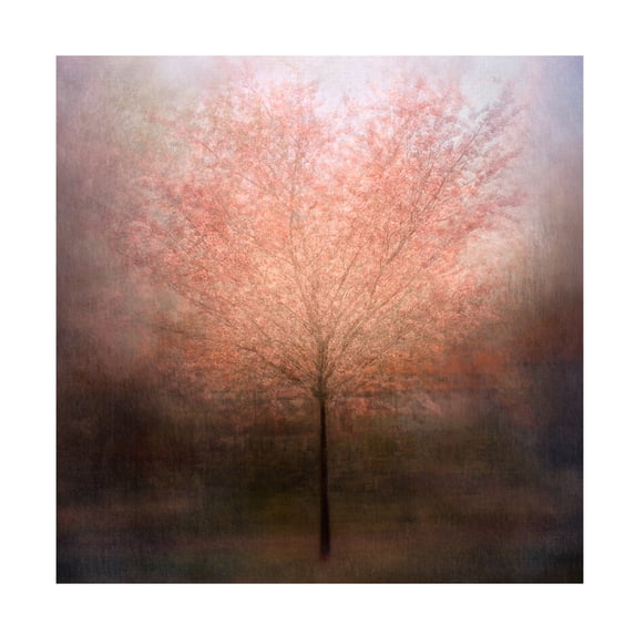 Canvas Wall Art - Delphine Devos 'Dream Come True' Wall Art for Living Room, Bedroom, or Office Décor by Trademark Fine Art - 18 x 18 Inches