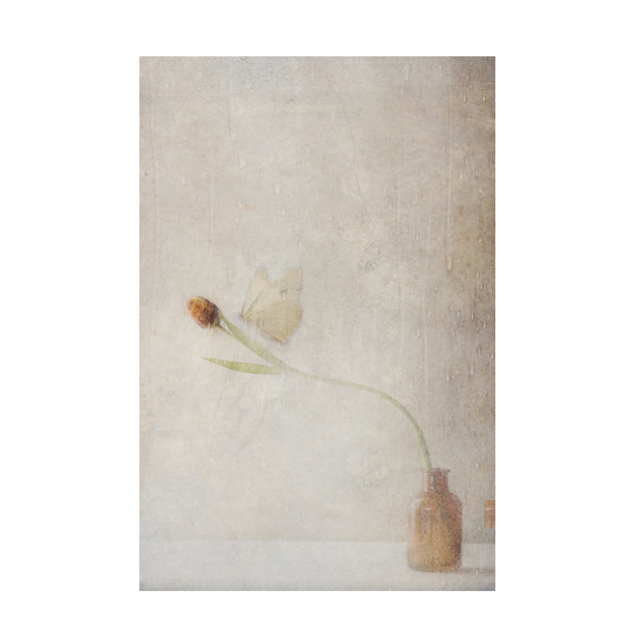 Canvas Wall Art - Delphine Devos 'Ephemeral Meeting' Wall Art for Living Room, Bedroom, or Office D?cor by Trademark Fine Art - 16 x 24 Inches