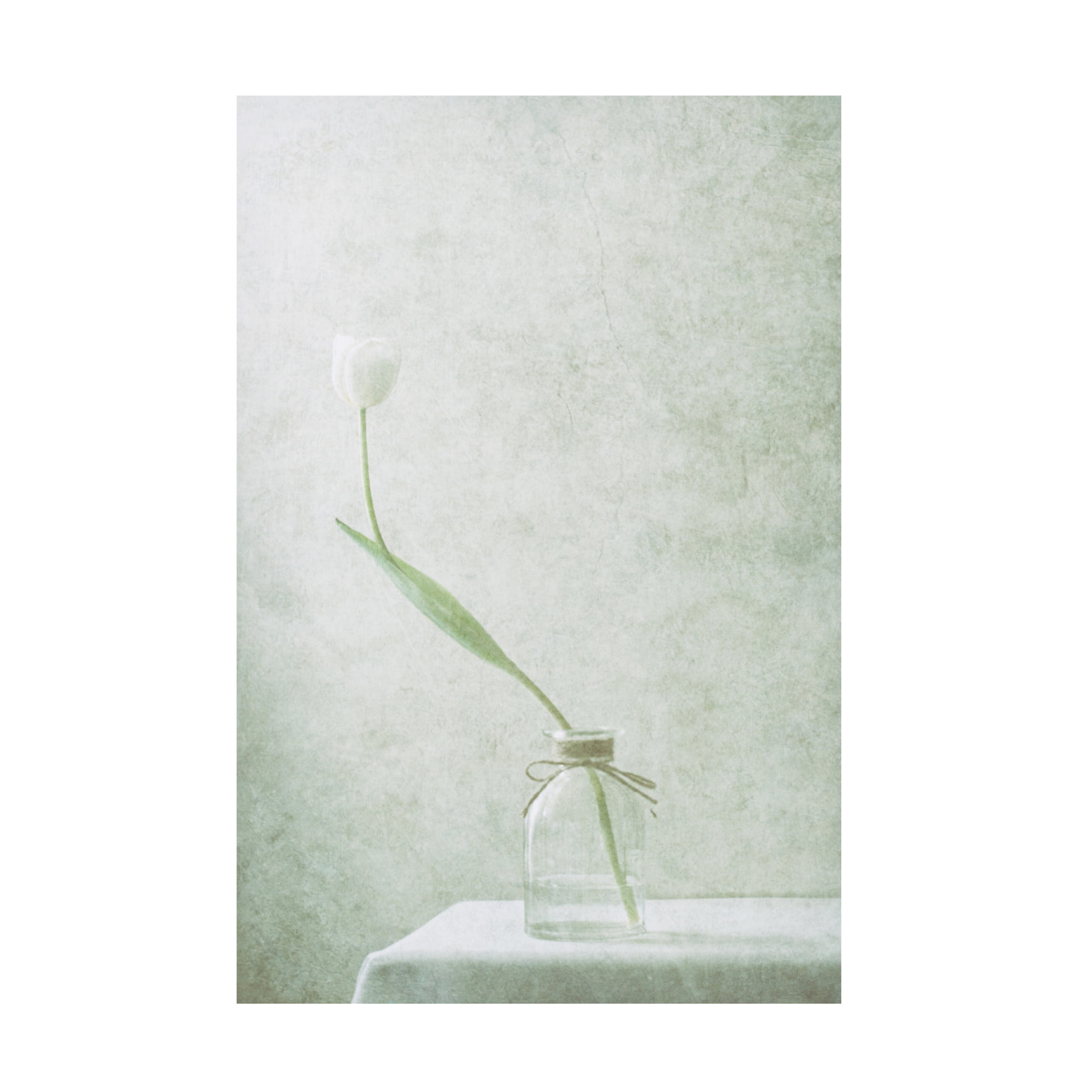Canvas Wall Art - Delphine Devos 'Ephemeral White 2' Wall Art for Living Room, Bedroom, or Office D?cor by Trademark Fine Art - 30 x 47 Inches