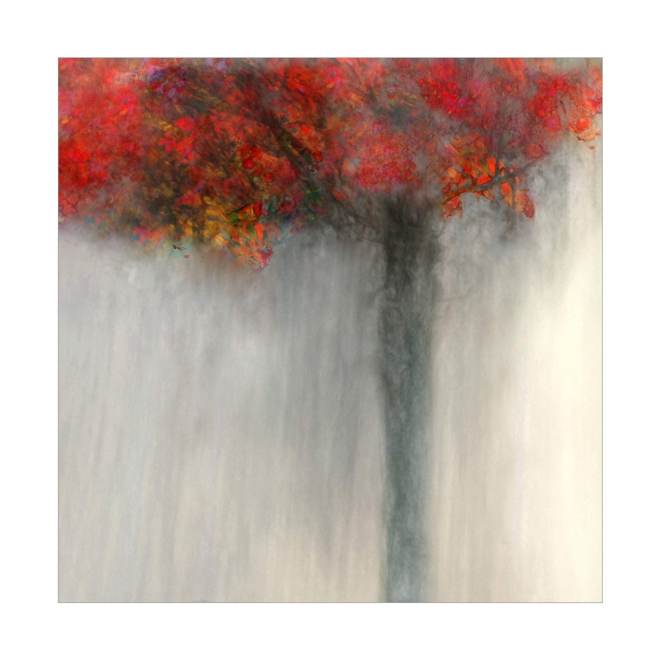 Canvas Wall Art - Delphine Devos 'Fiery Autumn' Wall Art for Living Room, Bedroom, or Office Décor by Trademark Fine Art - 14 x 14 Inches