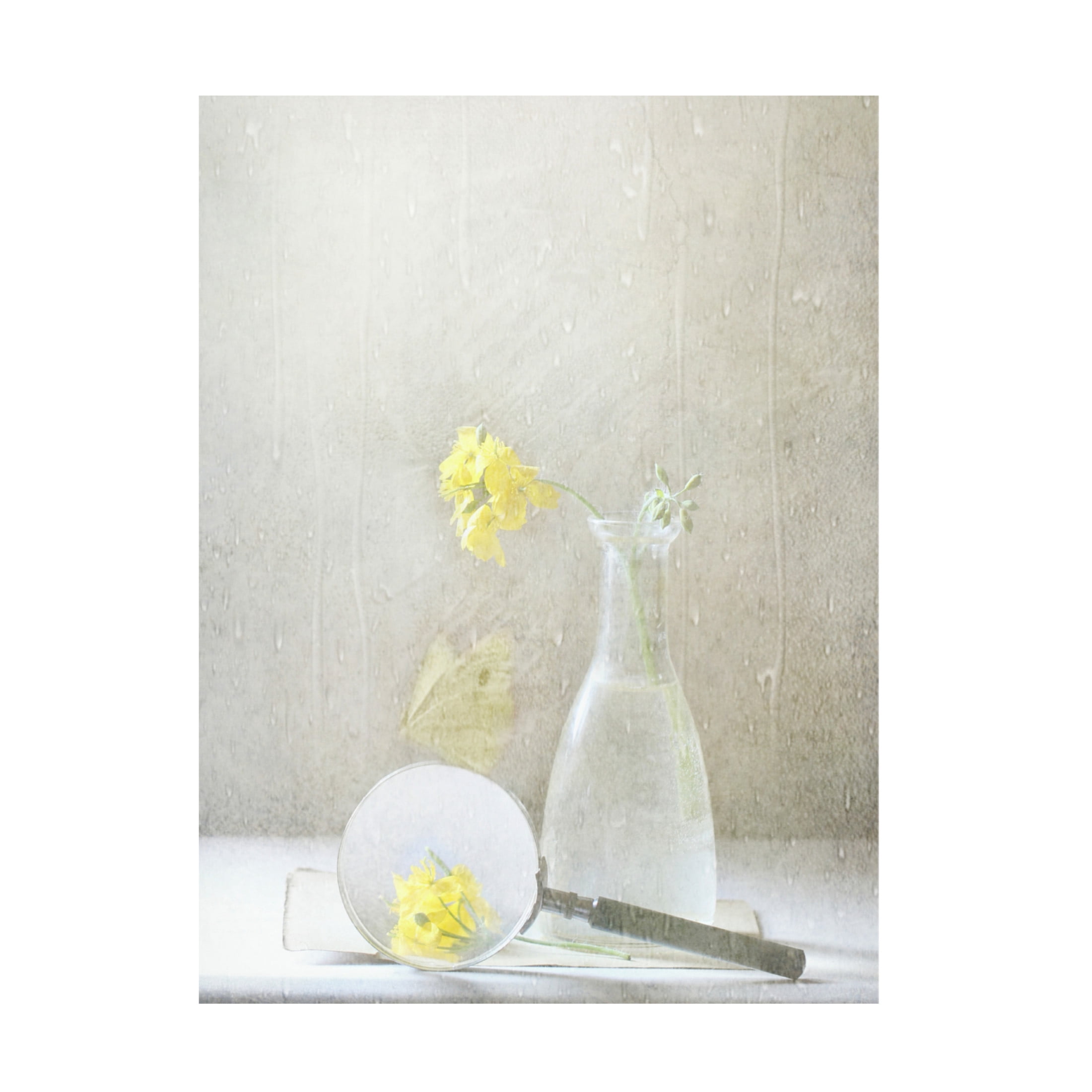 Canvas Wall Art - Delphine Devos 'Qnatureq Is What We See' Wall Art for Living Room, Bedroom, or Office Décor by Trademark Fine Art - 18 x 24 Inches