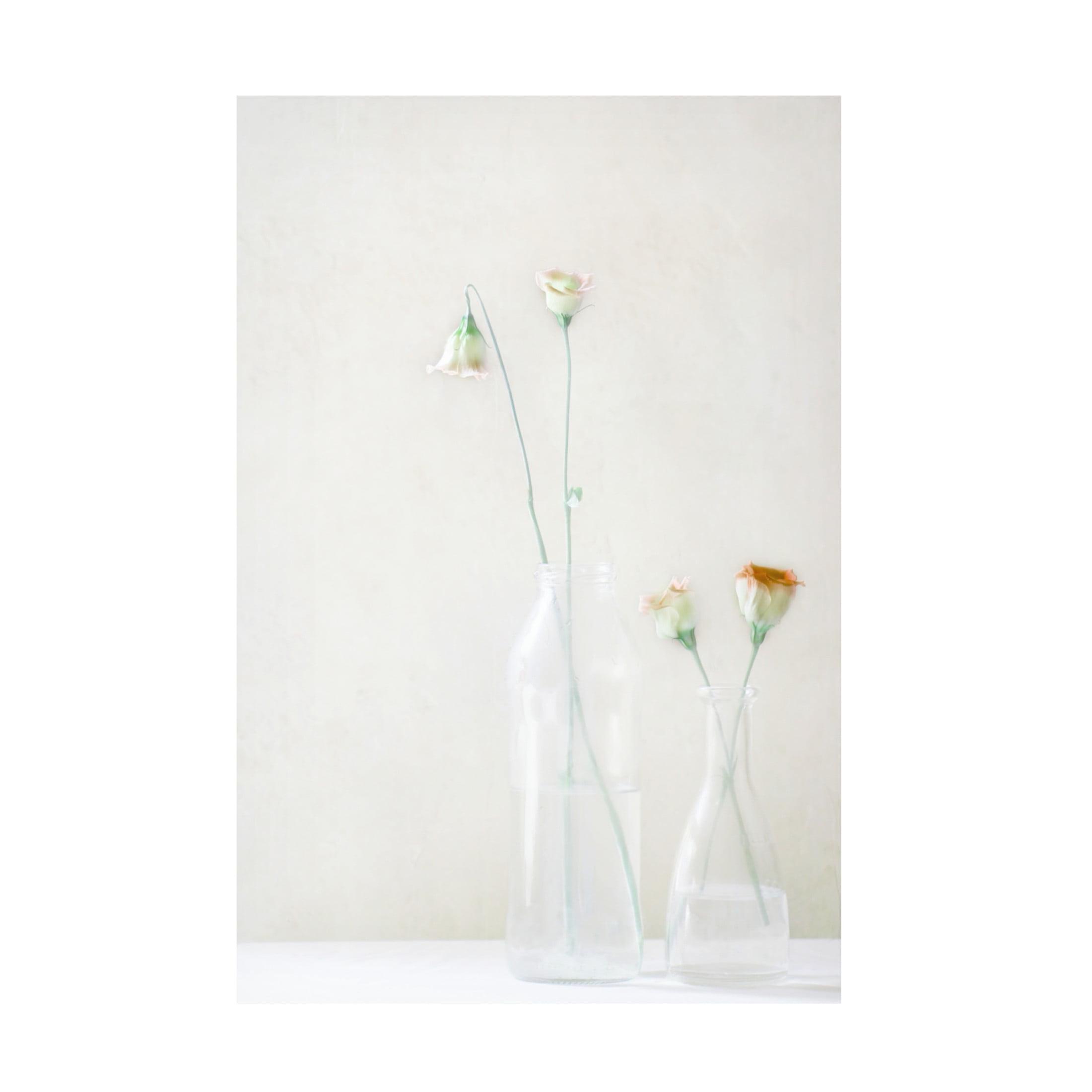Canvas Wall Art - Delphine Devos 'Simplicity And Elegance' Wall Art for Living Room, Bedroom, or Office Décor by Trademark Fine Art - 16 x 24 Inches