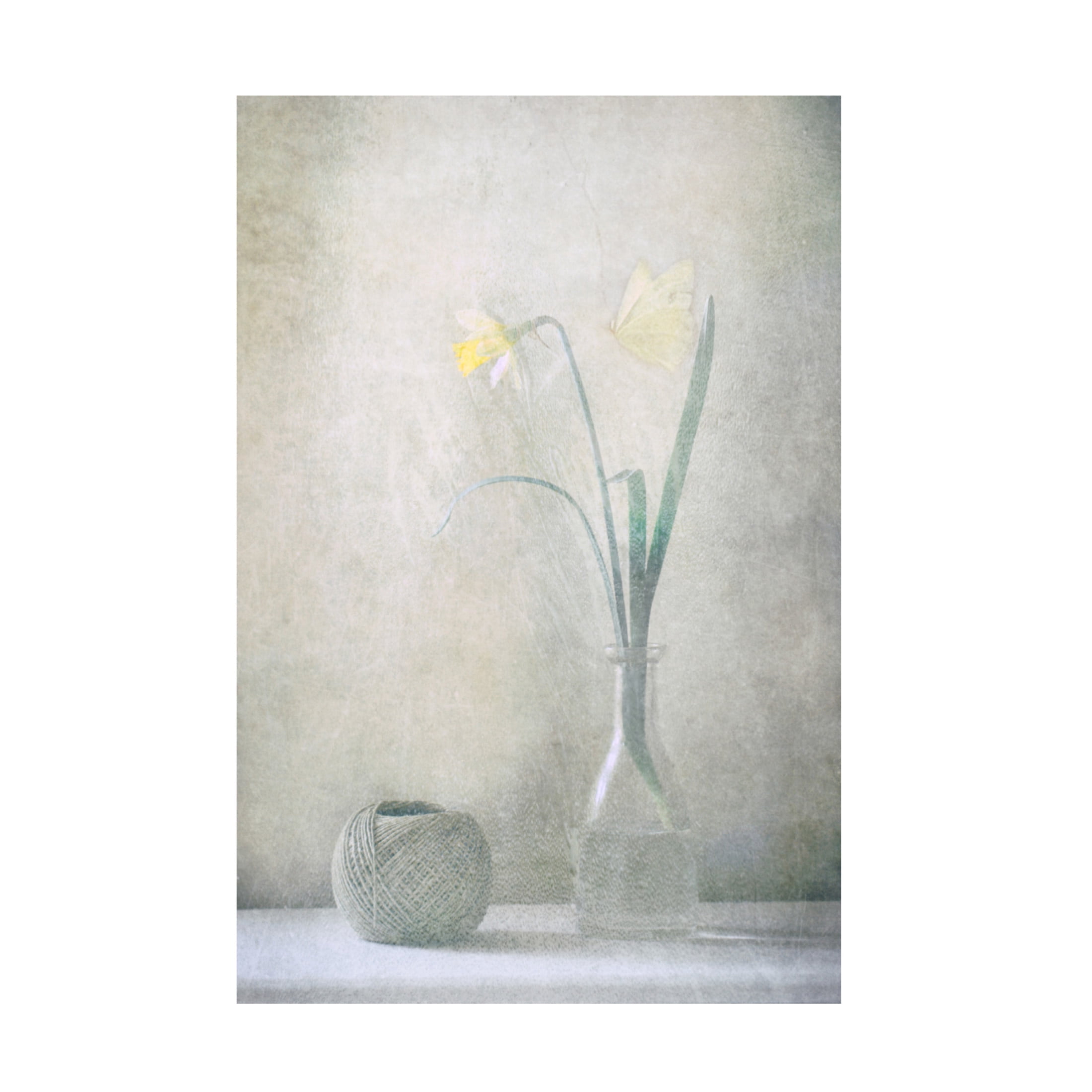 Canvas Wall Art - Delphine Devos 'Spring At Home' Wall Art for Living Room, Bedroom, or Office Décor by Trademark Fine Art - 30 x 47 Inches