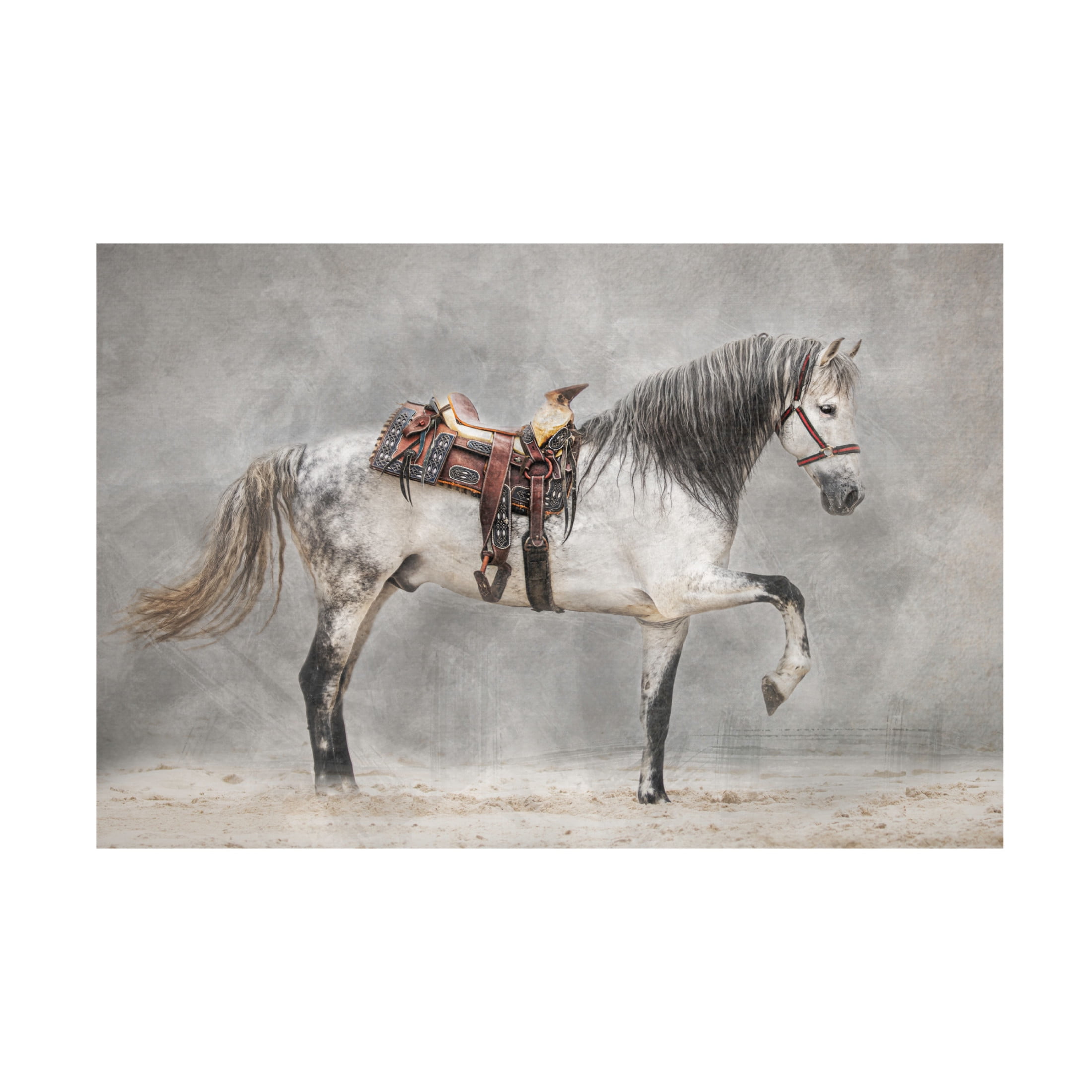 Canvas Wall Art - Delphine Devos 'Strike A Pose' Wall Art for Living Room, Bedroom, or Office Décor by Trademark Fine Art - 47 x 30 Inches