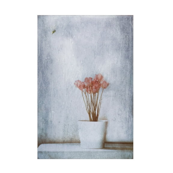 Canvas Wall Art - Delphine Devos 'When Summers Gone  ' Wall Art for Living Room, Bedroom, or Office Décor by Trademark Fine Art - 12 x 19 Inches