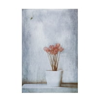 Canvas Wall Art - Delphine Devos 'When Summers Gone ' Wall Art for Living Room, Bedroom, or Office Décor by Trademark Fine Art - 12 x 19 Inches