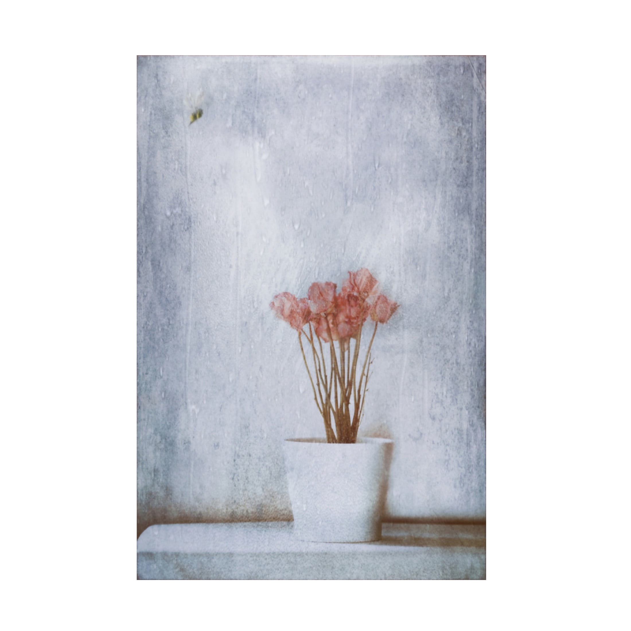 Canvas Wall Art - Delphine Devos 'When Summers Gone  ' Wall Art for Living Room, Bedroom, or Office Décor by Trademark Fine Art - 30 x 47 Inches