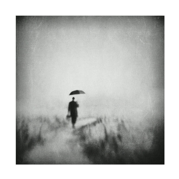 Canvas Wall Art - Delphine Devos 'Winding Road' Wall Art for Living Room, Bedroom, or Office DÃ©cor by Trademark Fine Art - 24 x 24 Inches