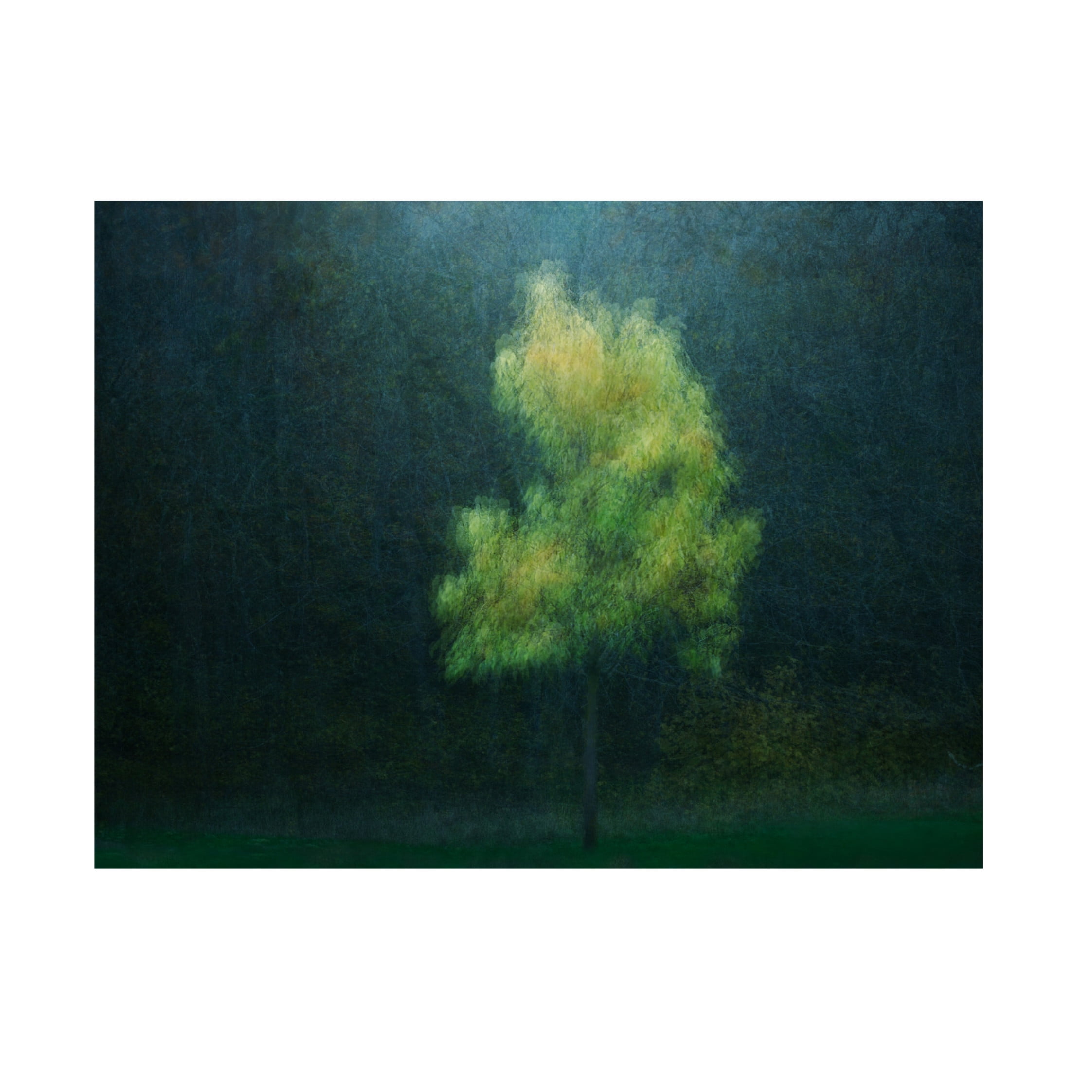 Canvas Wall Art - Delphine Devos 'Yellowing' Wall Art for Living Room, Bedroom, or Office Décor by Trademark Fine Art - 19 x 14 Inches